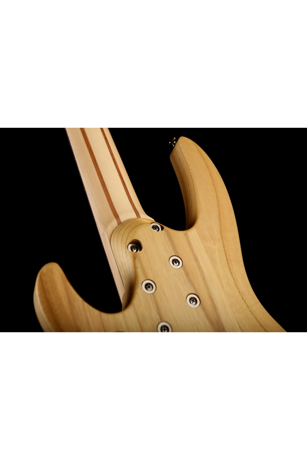 LTD B-205 Spalted Maple 5 STRING Fretless Bass - Bass Centre Music Store Melbourne