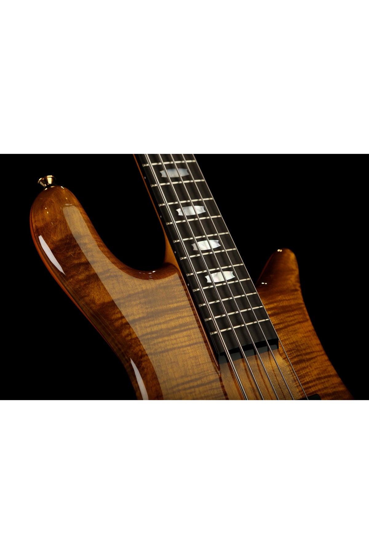 Spector Euro 5 LT - Bass Centre Music Store Melbourne