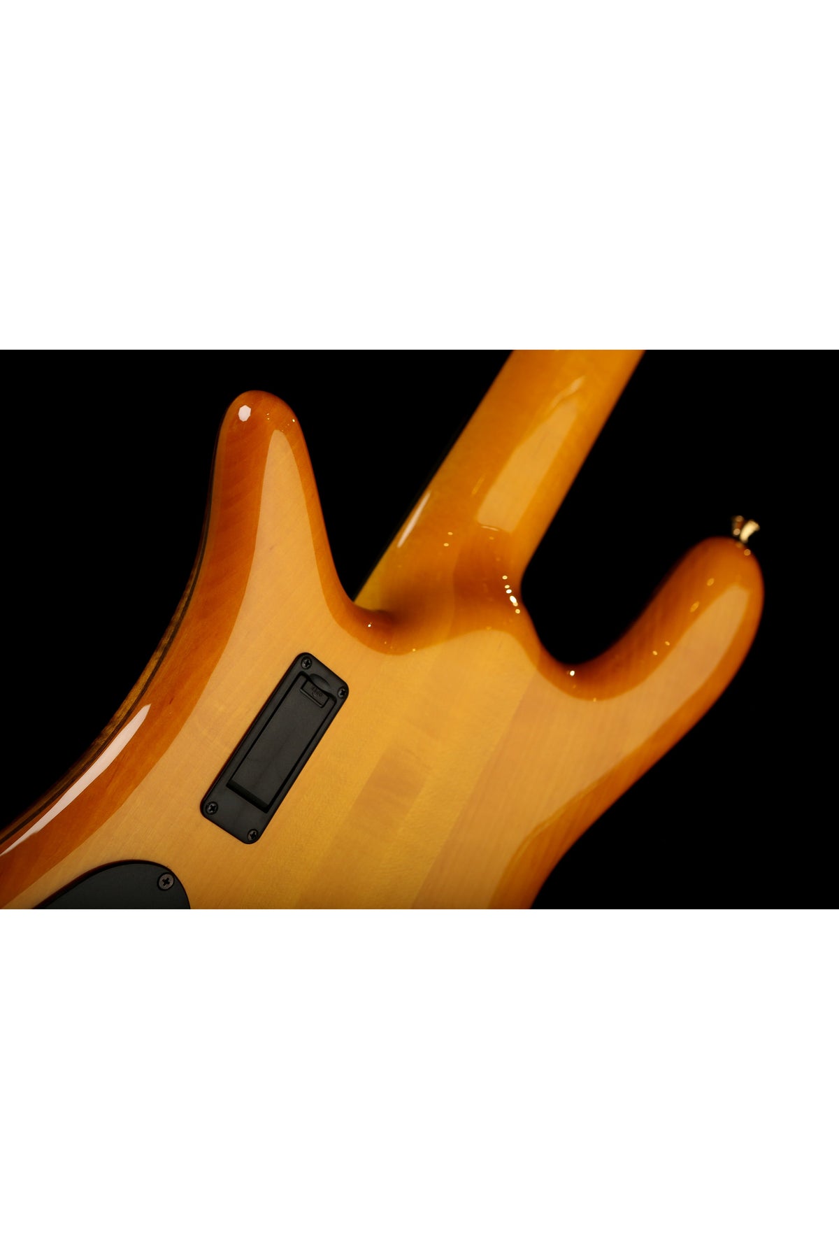 Spector Euro 5 LT - Bass Centre Music Store Melbourne