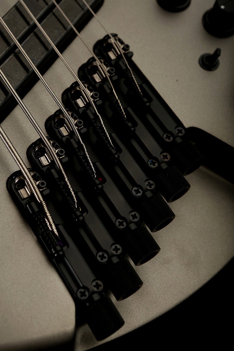 Ibanez EHB1006MS Metallic Grey Matte - Bass Centre Music Store Melbourne