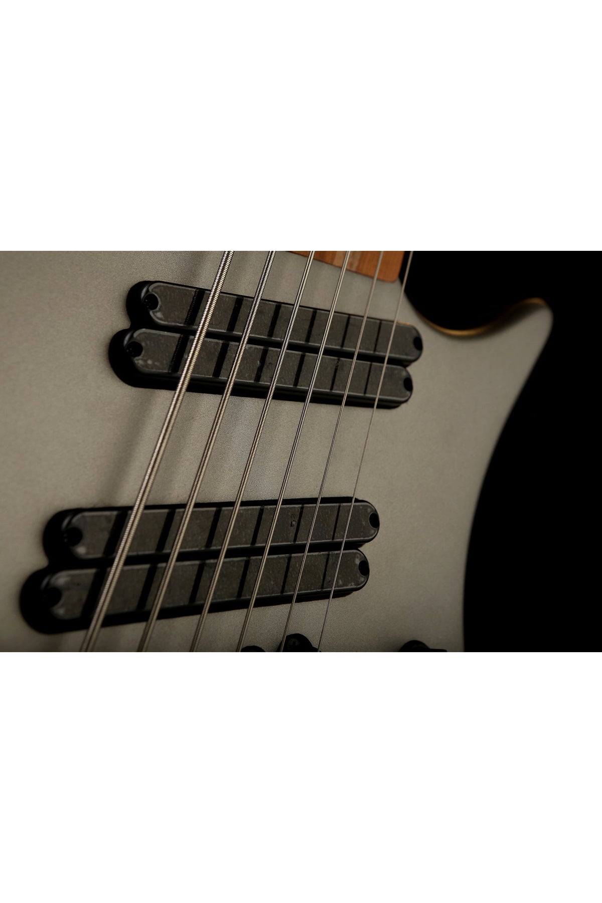 Ibanez EHB1006MS Metallic Grey Matte - Bass Centre Music Store Melbourne