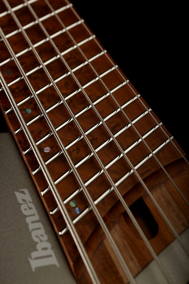 Ibanez EHB1006MS Metallic Grey Matte - Bass Centre Music Store Melbourne