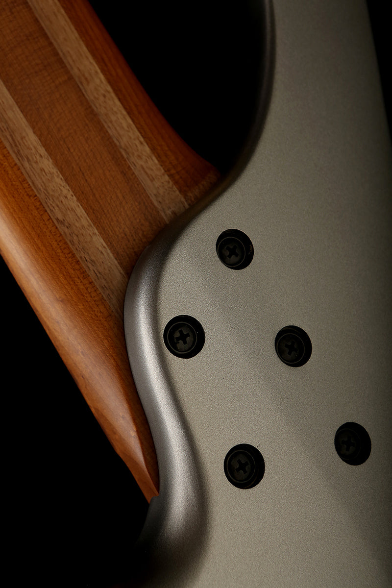 Ibanez EHB1006MS Metallic Grey Matte - Bass Centre Music Store Melbourne