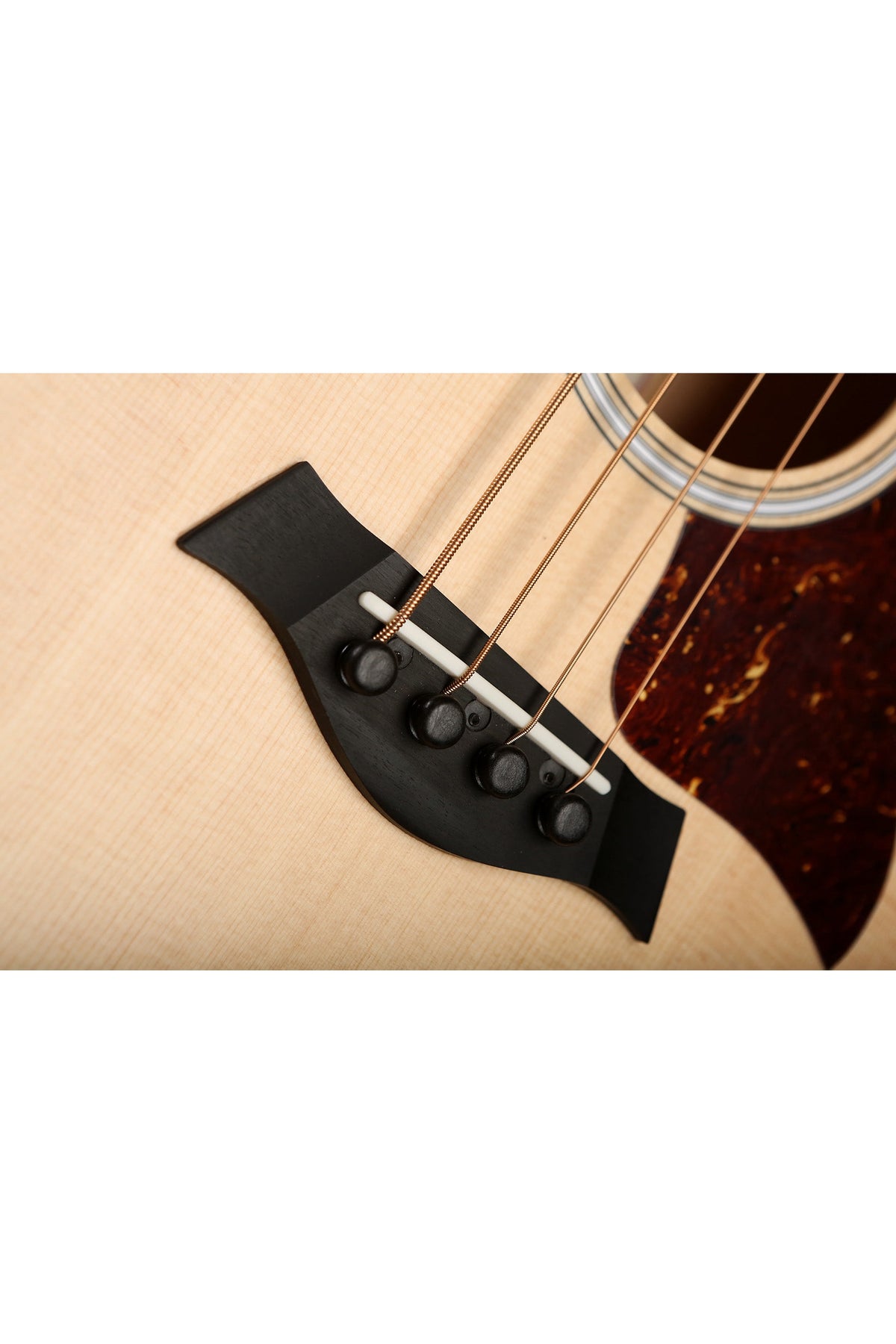 GS Mini-e Maple Bass - Bass Centre Music Store Melbourne