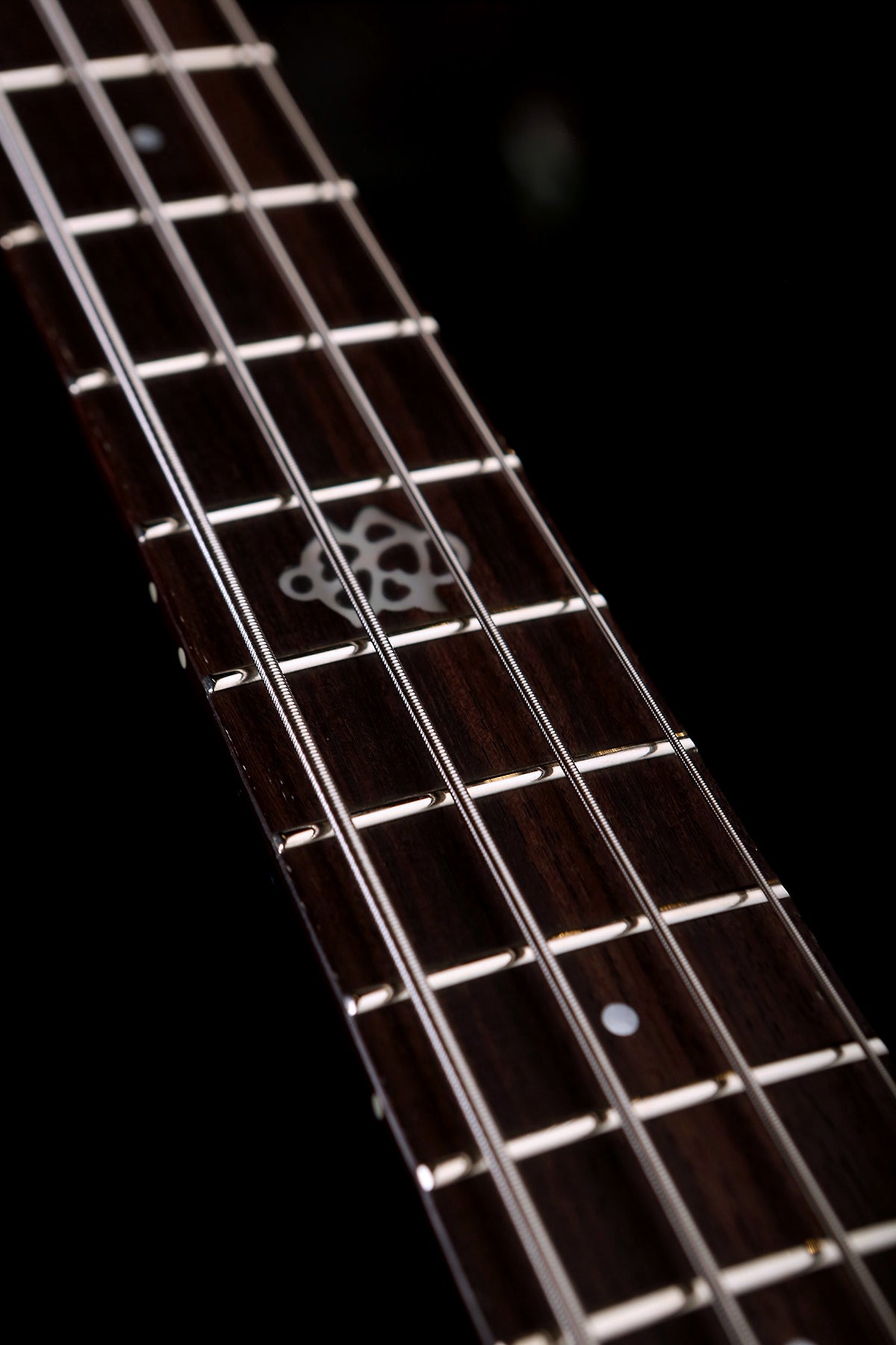 Spector NS Ethos 4 String Bass - Bass Centre Music Store Melbourne