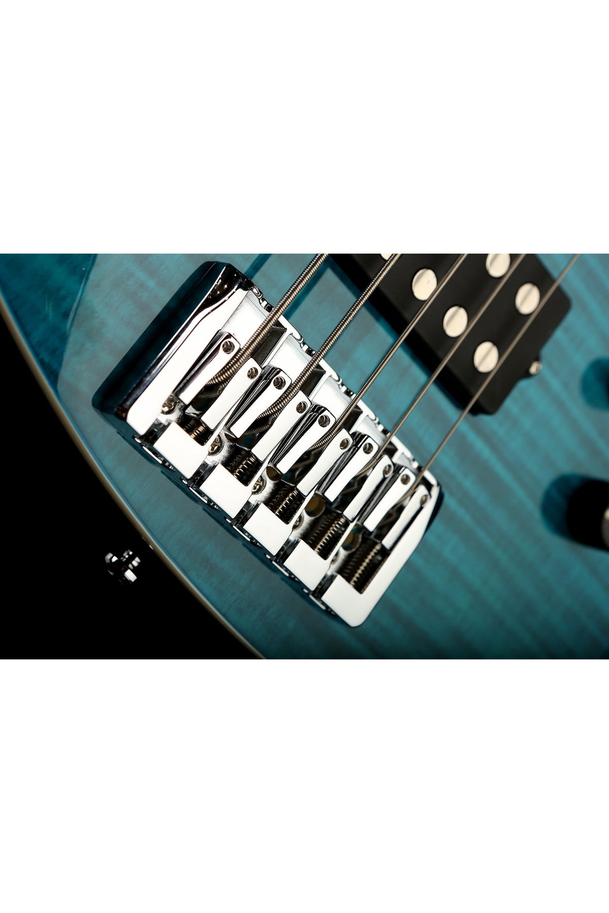 Reverend Mercalli 5 - Bass Centre Music Store Melbourne