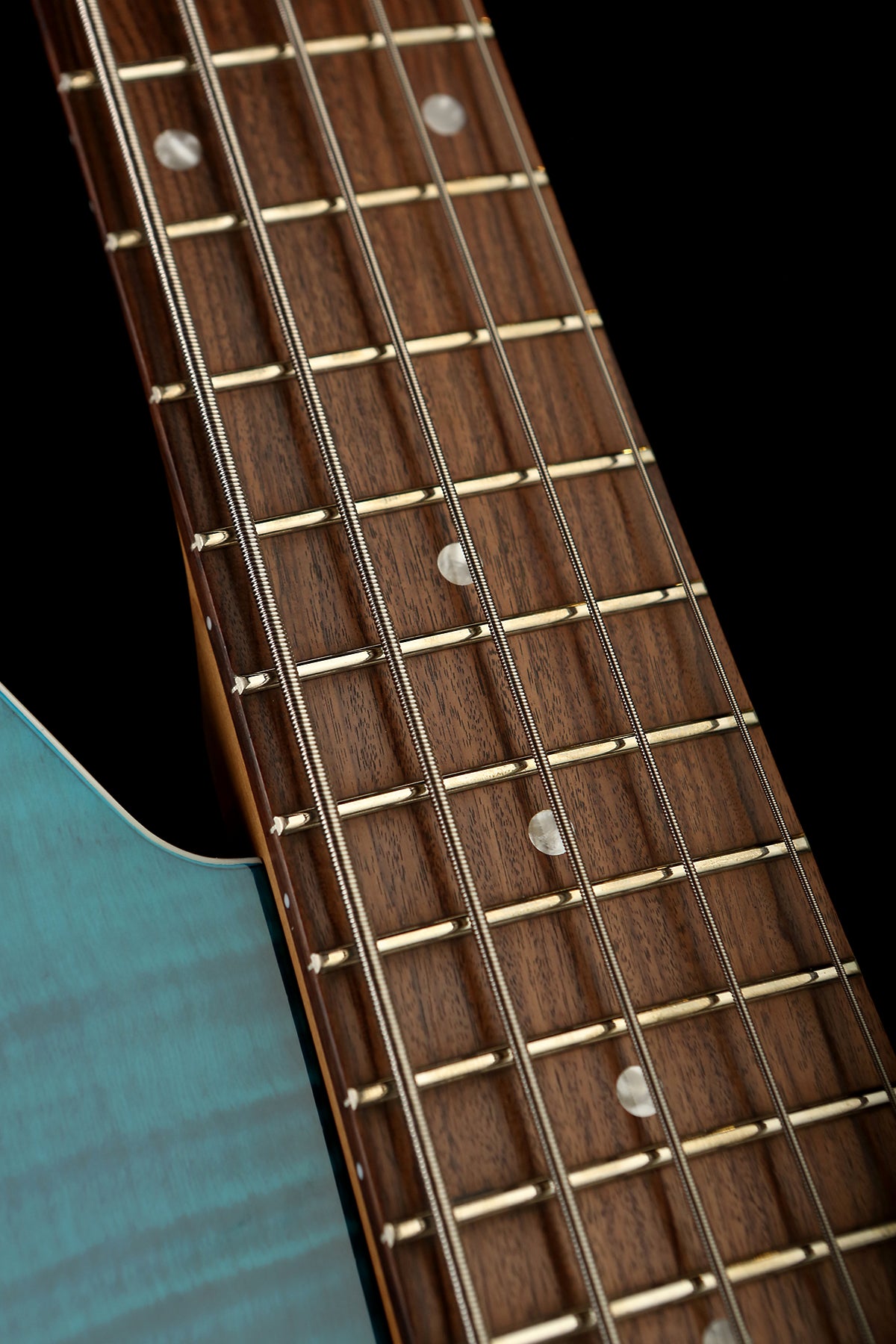 Reverend Mercalli 5 - Bass Centre Music Store Melbourne