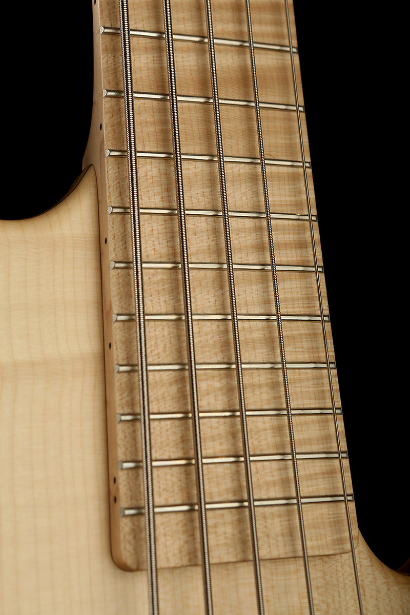 Mark Bass Kilimanjaro 5 Richard Bona Bass - Bass Centre Music Store Melbourne