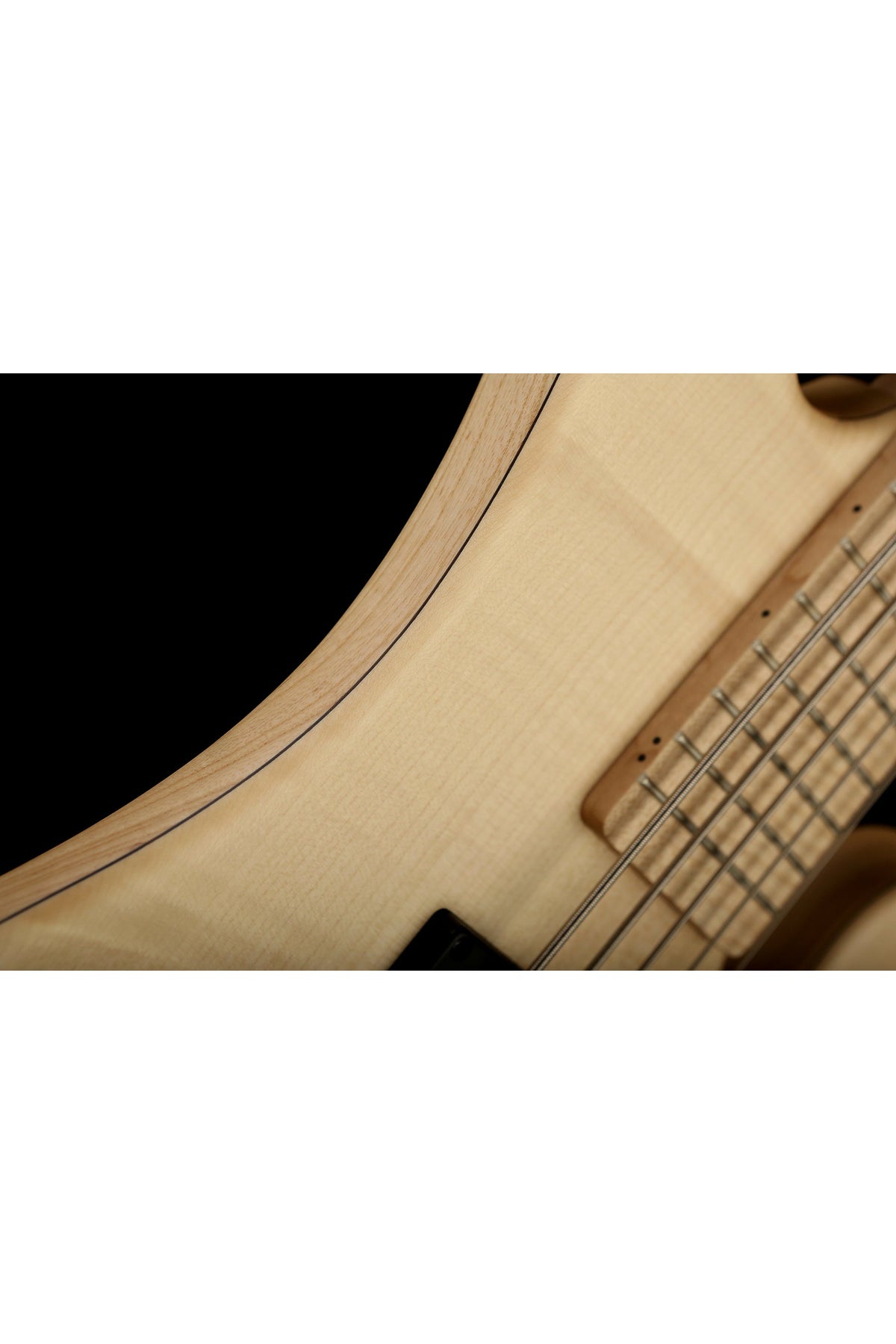 Mark Bass Kilimanjaro 5 Richard Bona Bass - Bass Centre Music Store Melbourne