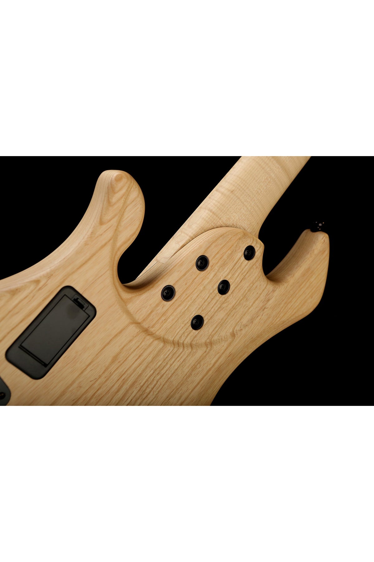 Mark Bass Kilimanjaro 5 Richard Bona Bass - Bass Centre Music Store Melbourne