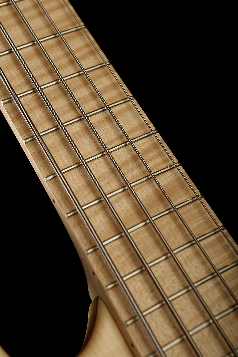 Mark Bass Kilimanjaro 5 Richard Bona Bass - Bass Centre Music Store Melbourne