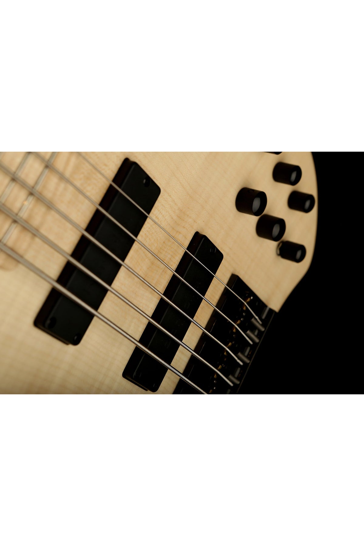 Mark Bass Kilimanjaro 5 Richard Bona Bass - Bass Centre Music Store Melbourne