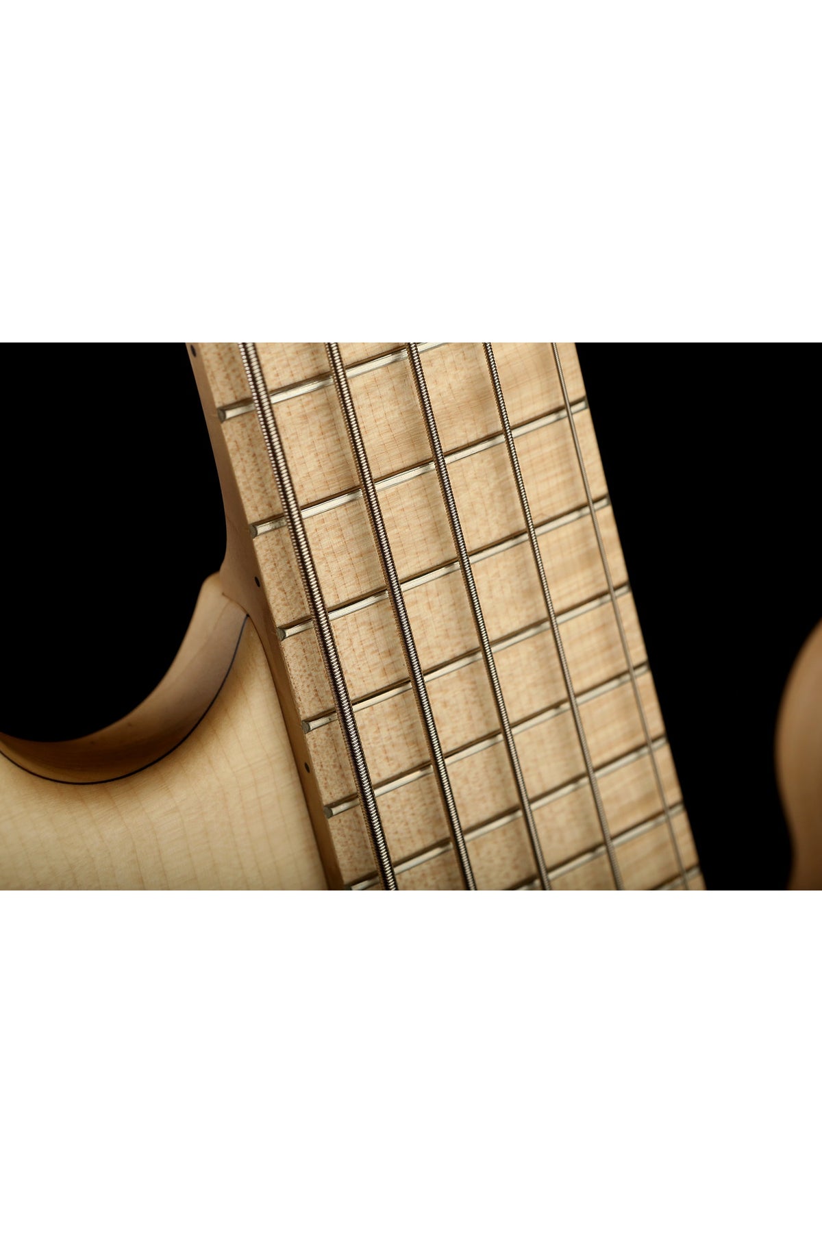 Mark Bass Kilimanjaro 5 Richard Bona Bass - Bass Centre Music Store Melbourne