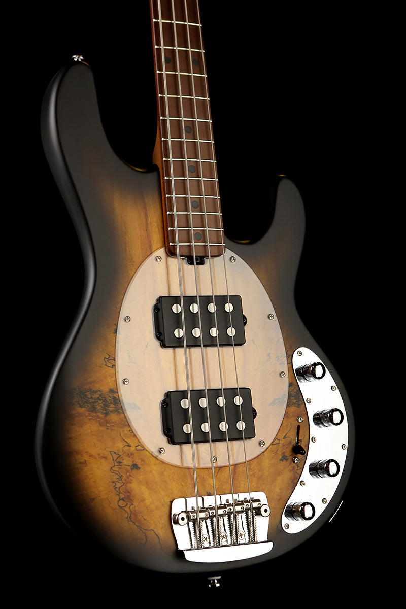 Sterling by Musicman Ray34 HH Spalted Top - Bass Centre Music Store Melbourne