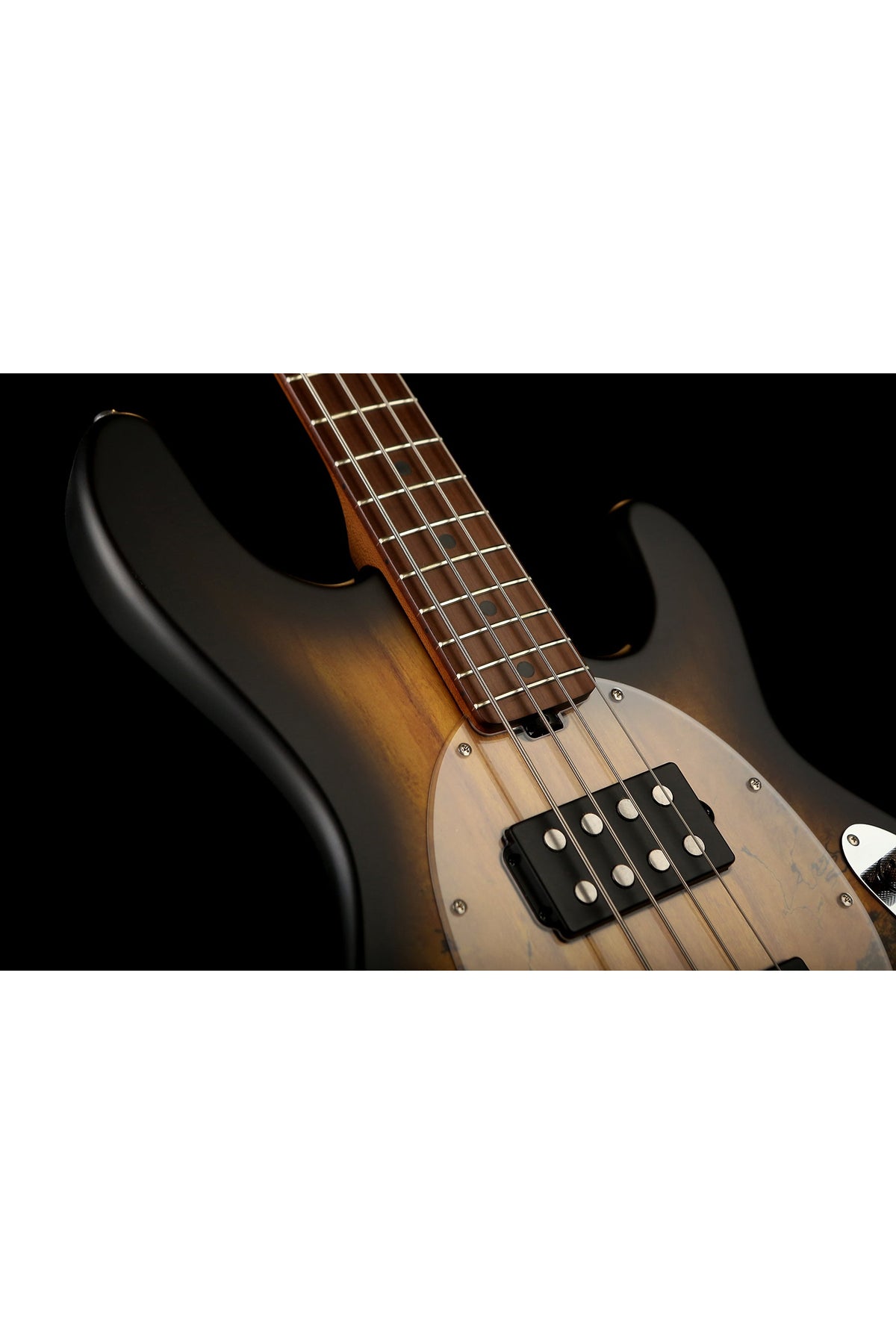 Sterling by Musicman Ray34 HH Spalted Top - Bass Centre Music Store Melbourne