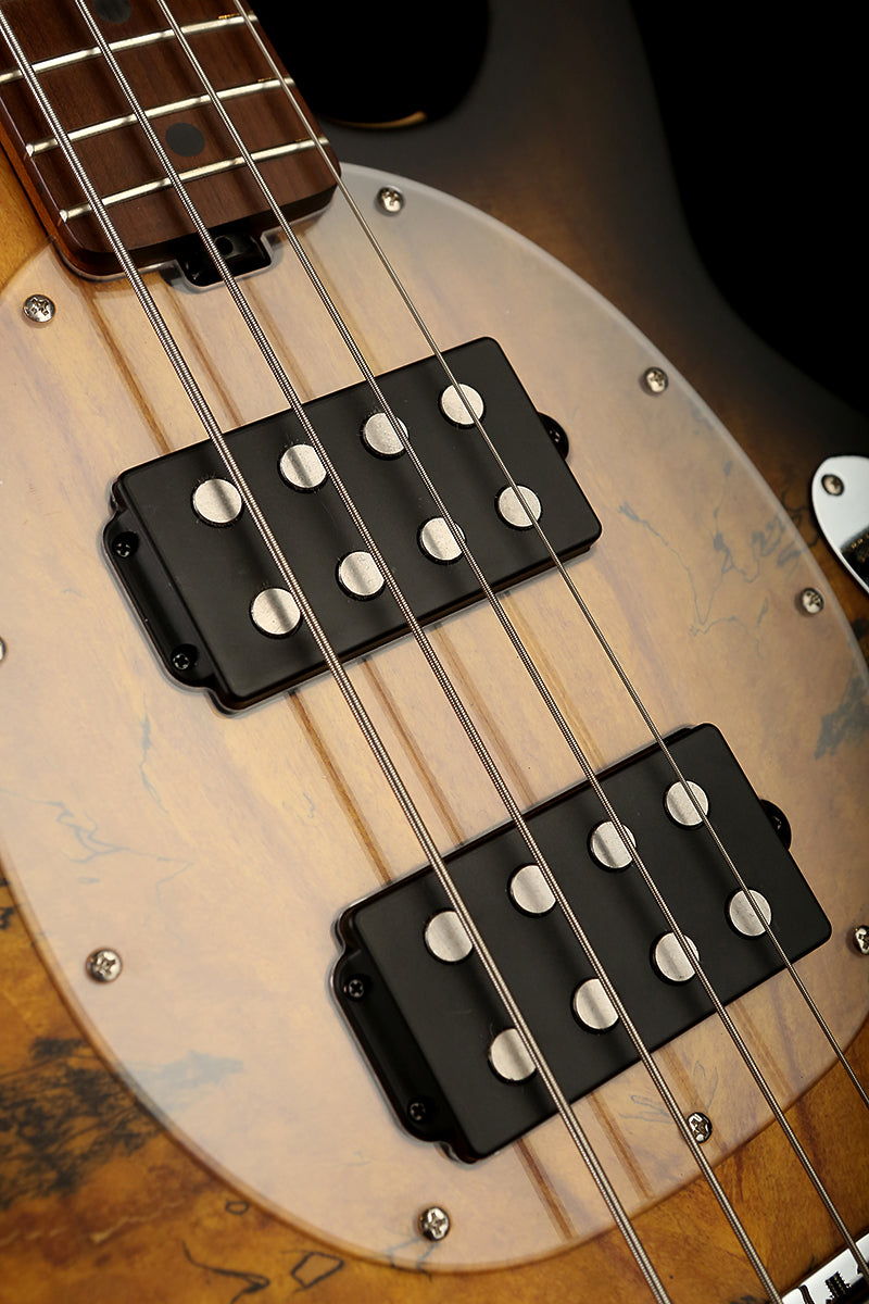 Sterling by Musicman Ray34 HH Spalted Top - Bass Centre Music Store Melbourne