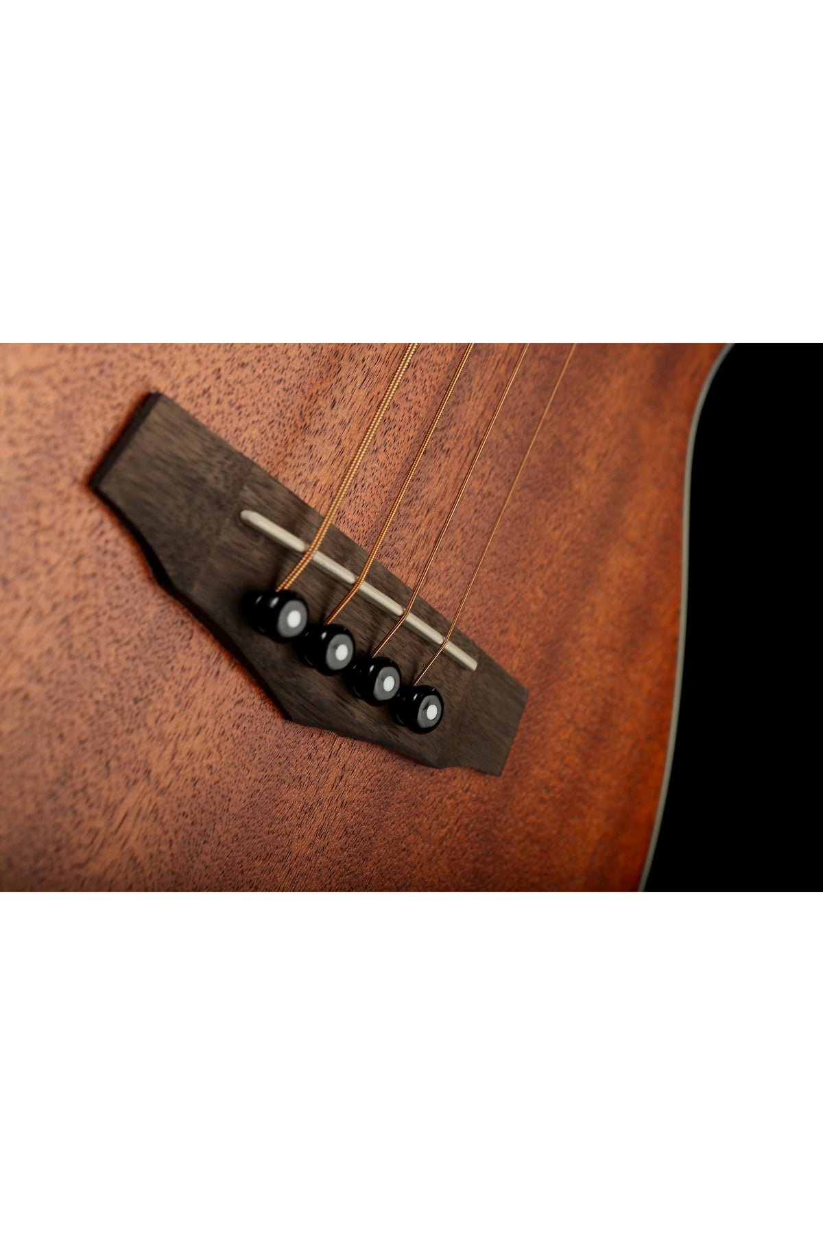 Ibanez PNB14E Open Natural - Bass Centre Music Store Melbourne