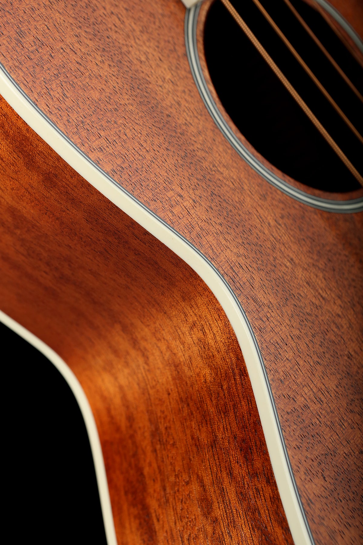 Ibanez PNB14E Open Natural - Bass Centre Music Store Melbourne