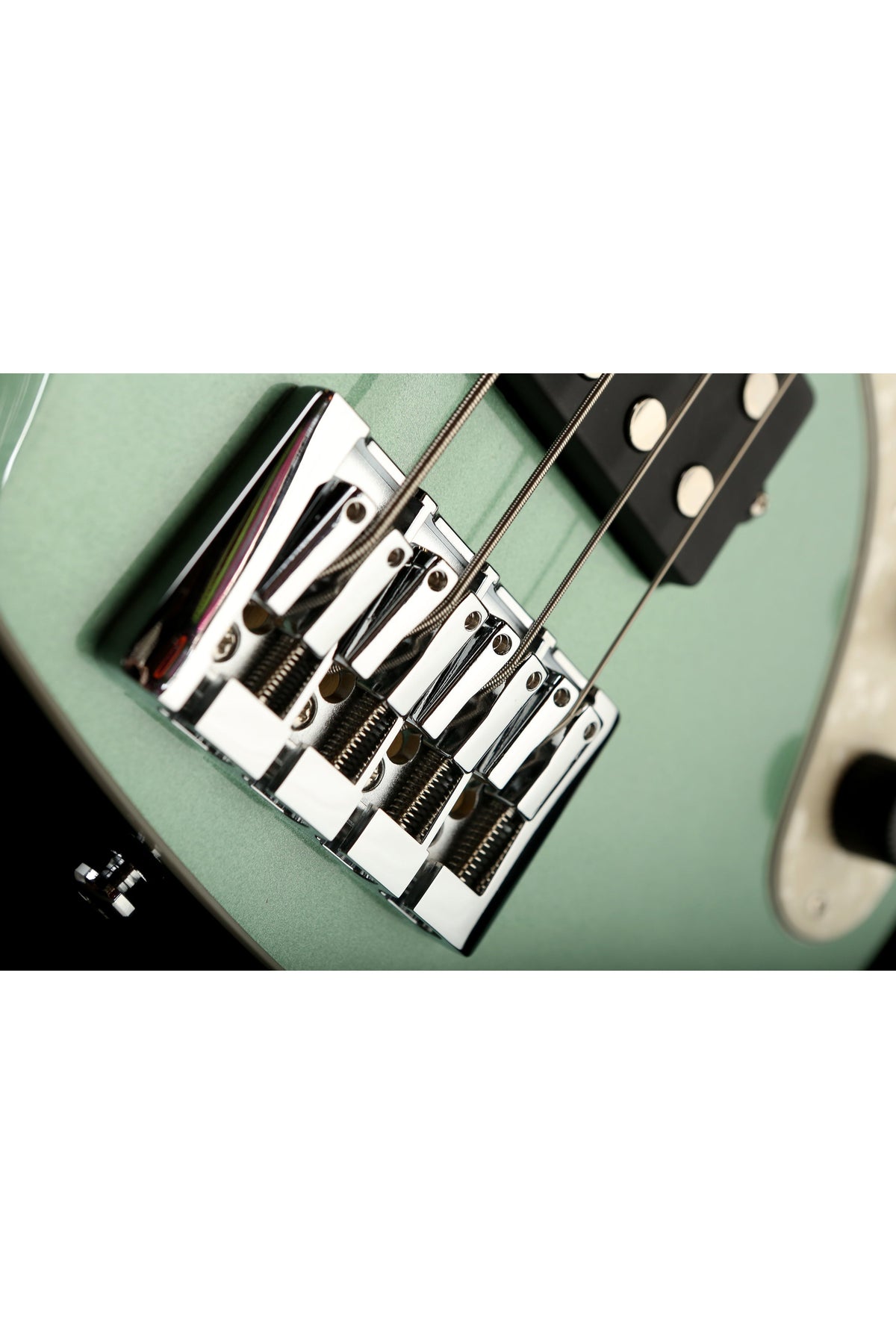 Reverend Mercalli 4 - Bass Centre Music Store Melbourne