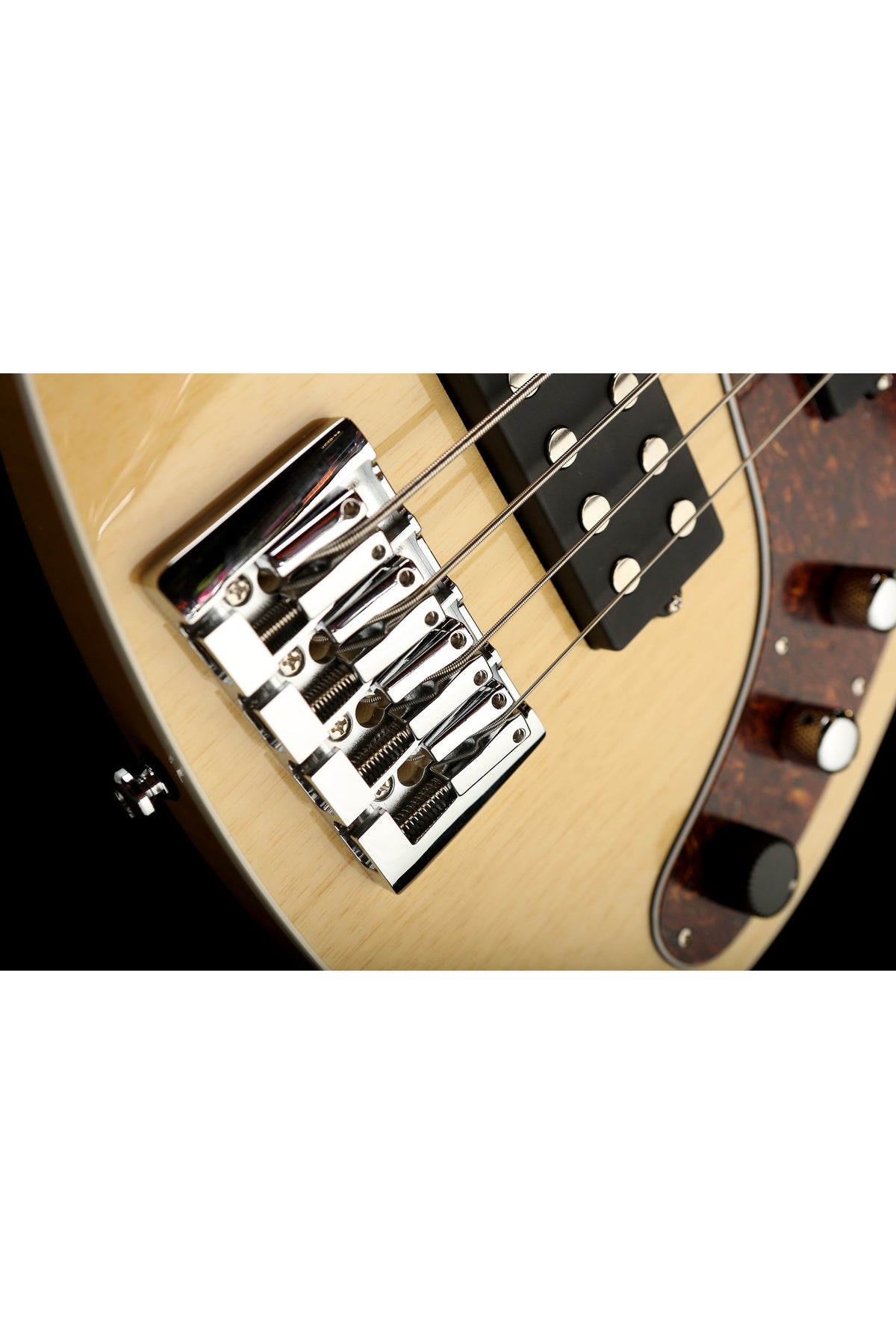 Reverend Mercalli 4 - Bass Centre Music Store Melbourne