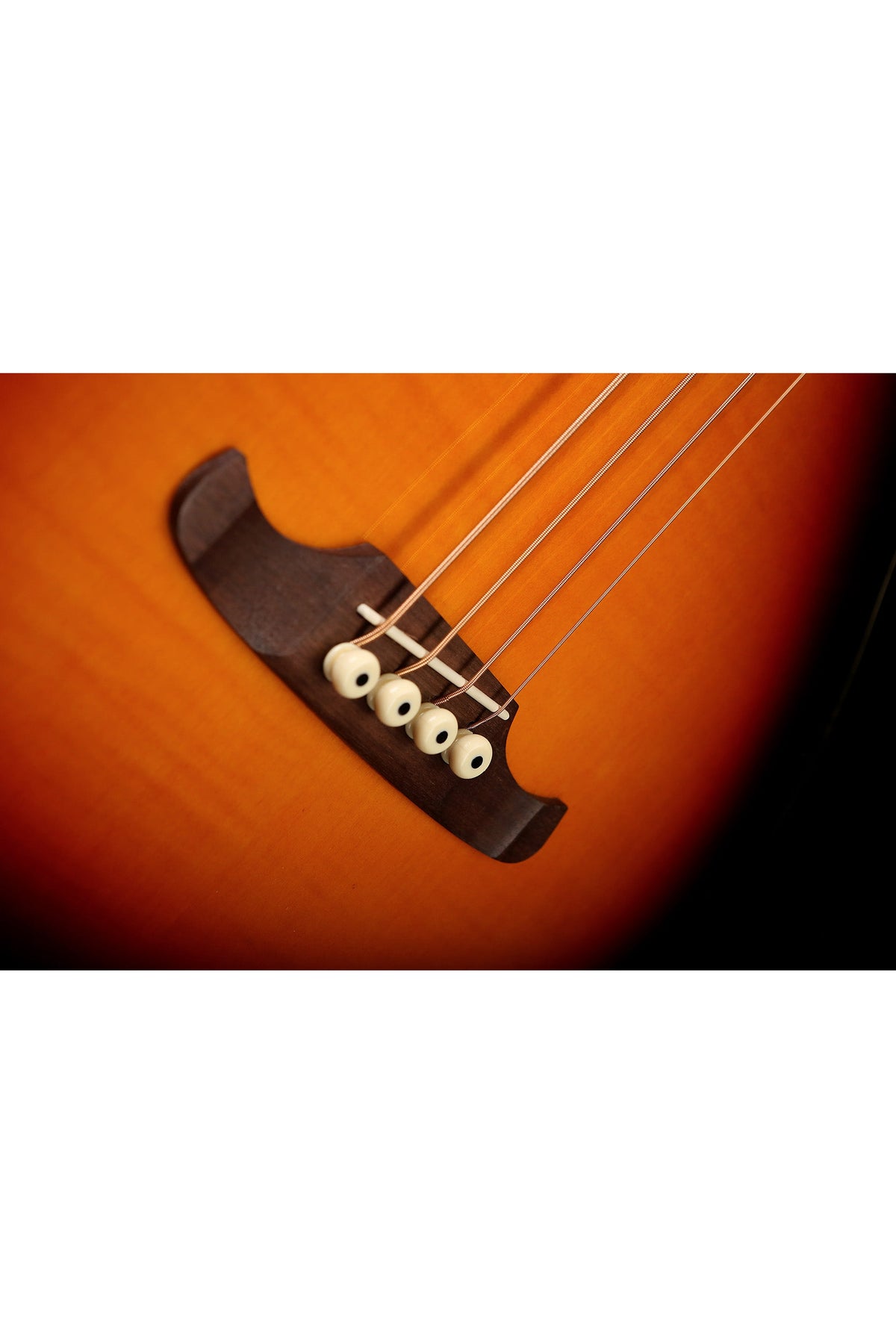 Fender FA-450CE Acoustic Bass - Bass Centre Music Store Melbourne