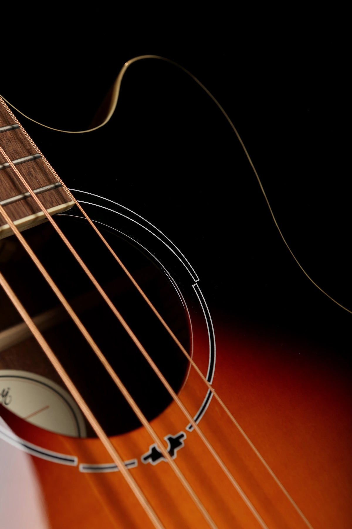 Fender FA-450CE Acoustic Bass - Bass Centre Music Store Melbourne