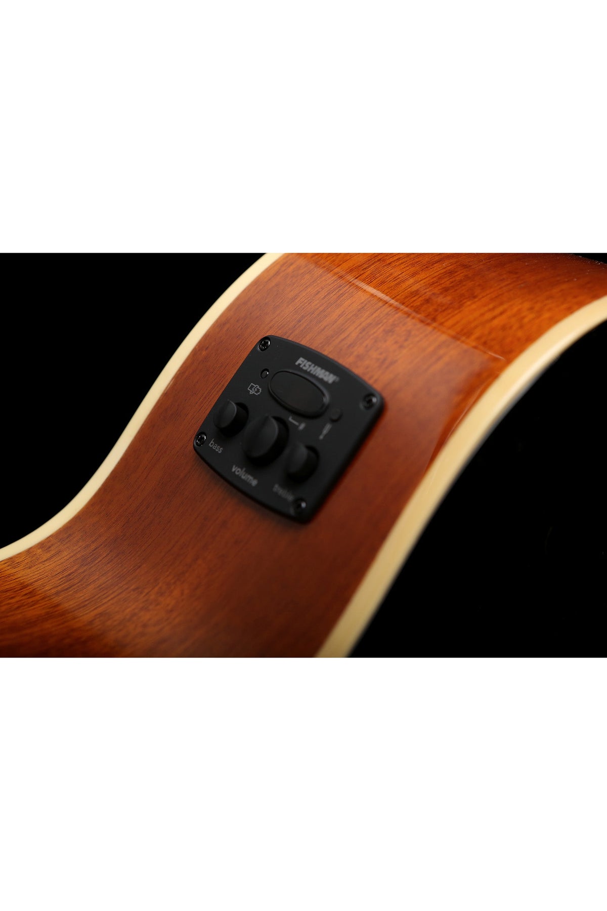 Fender FA-450CE Acoustic Bass - Bass Centre Music Store Melbourne