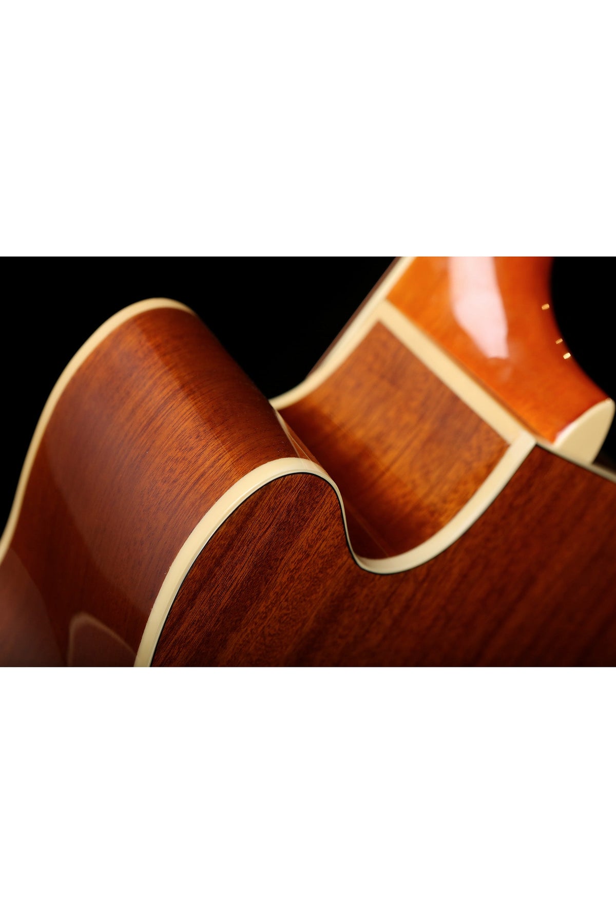 Fender FA-450CE Acoustic Bass - Bass Centre Music Store Melbourne