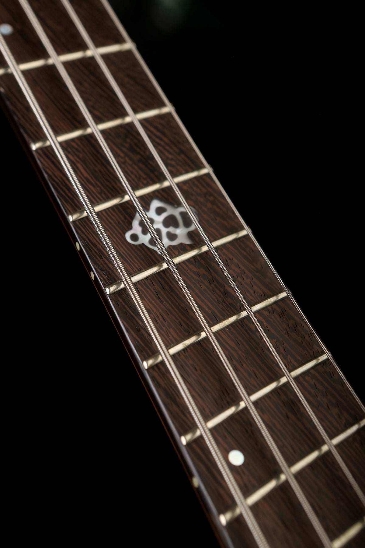 Spector NS Dimension 4 Bass Multi Scale - Bass Centre Music Store Melbourne