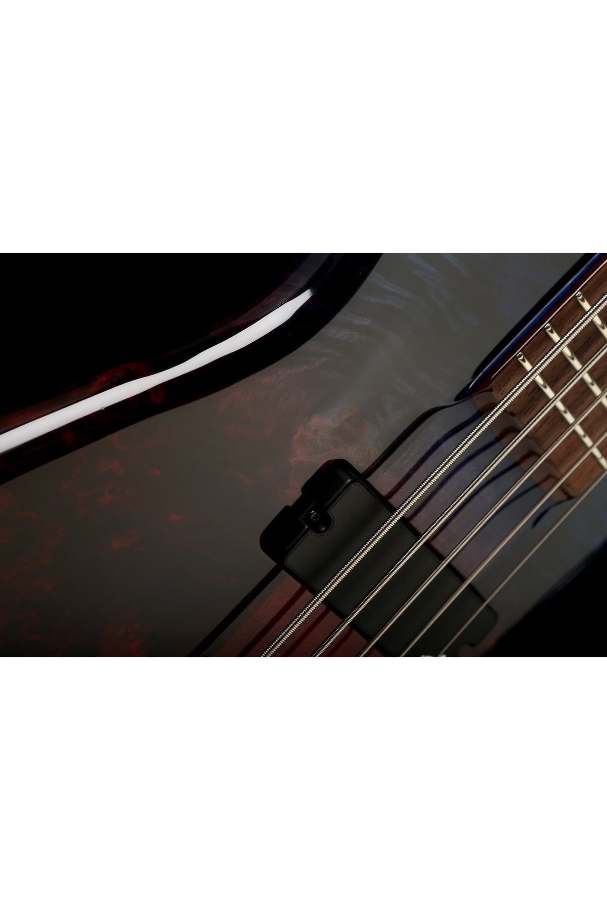 Spector NS Ethos 5 String Bass - Bass Centre Music Store Melbourne