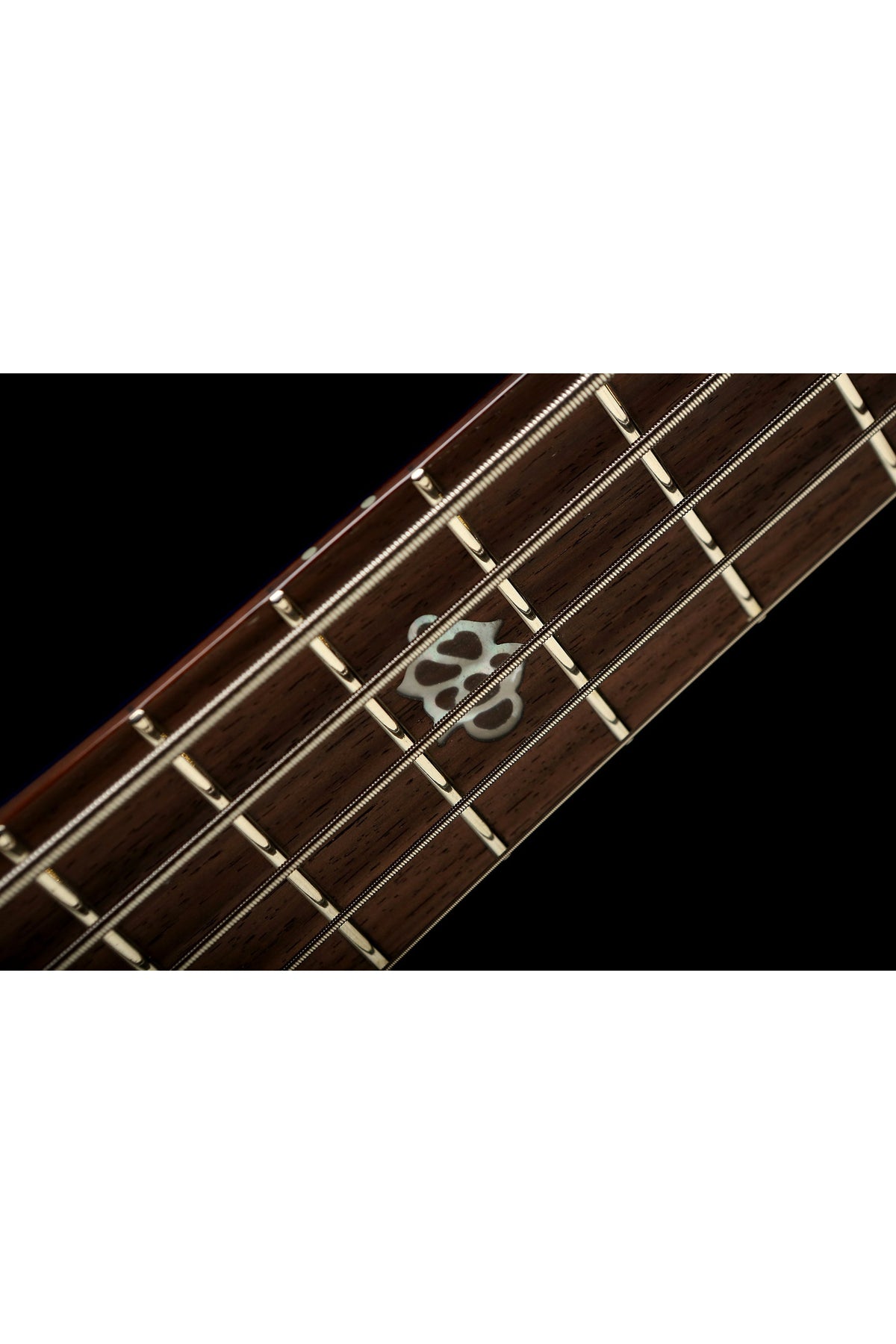 Spector NS Ethos 5 String Bass - Bass Centre Music Store Melbourne