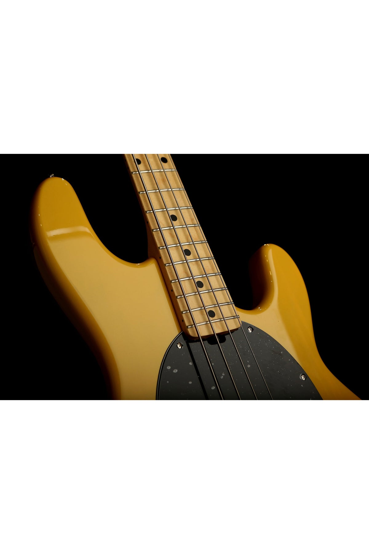 Sterling by Music Man RAY24 CA Classic - Bass Centre Music Store Melbourne