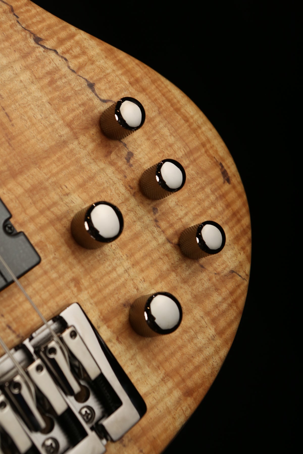 LTD B-204SM Fretless - Bass Centre Music Store Melbourne