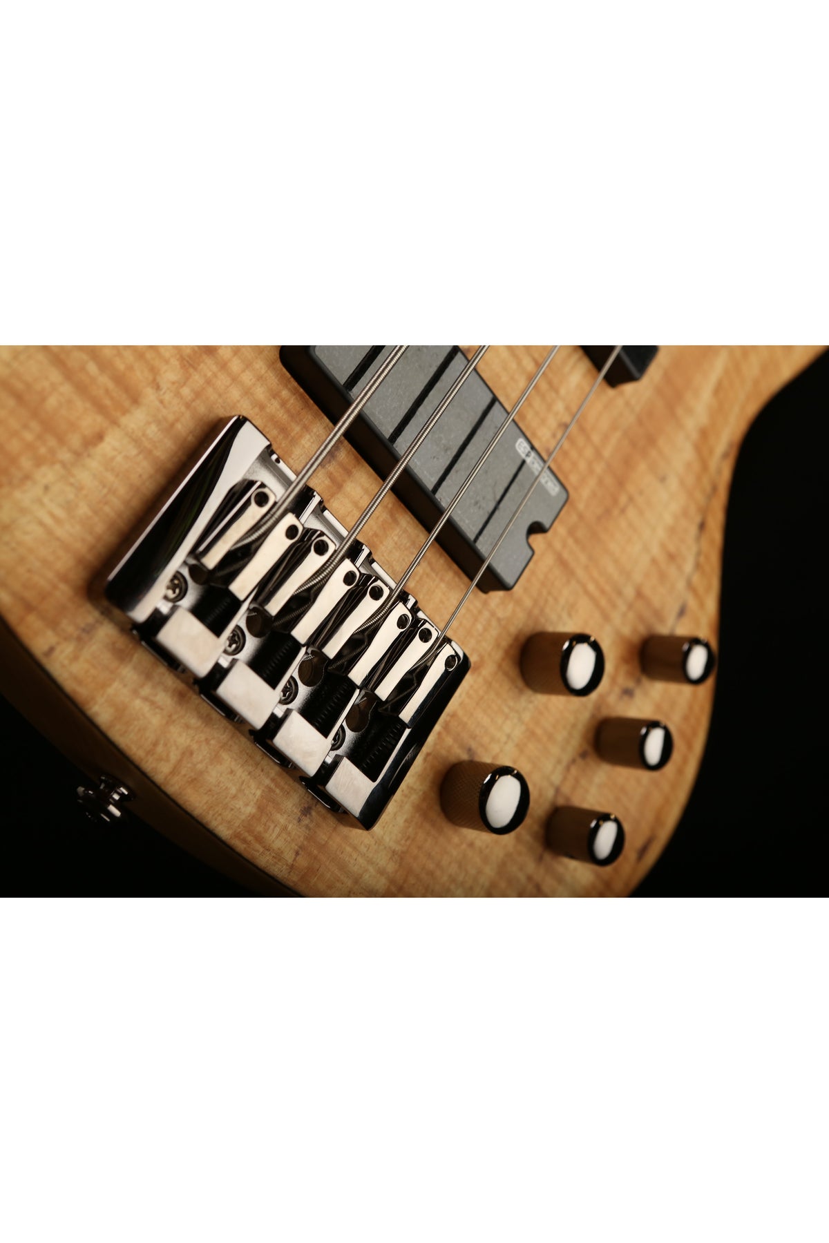 LTD B-204SM Fretless - Bass Centre Music Store Melbourne