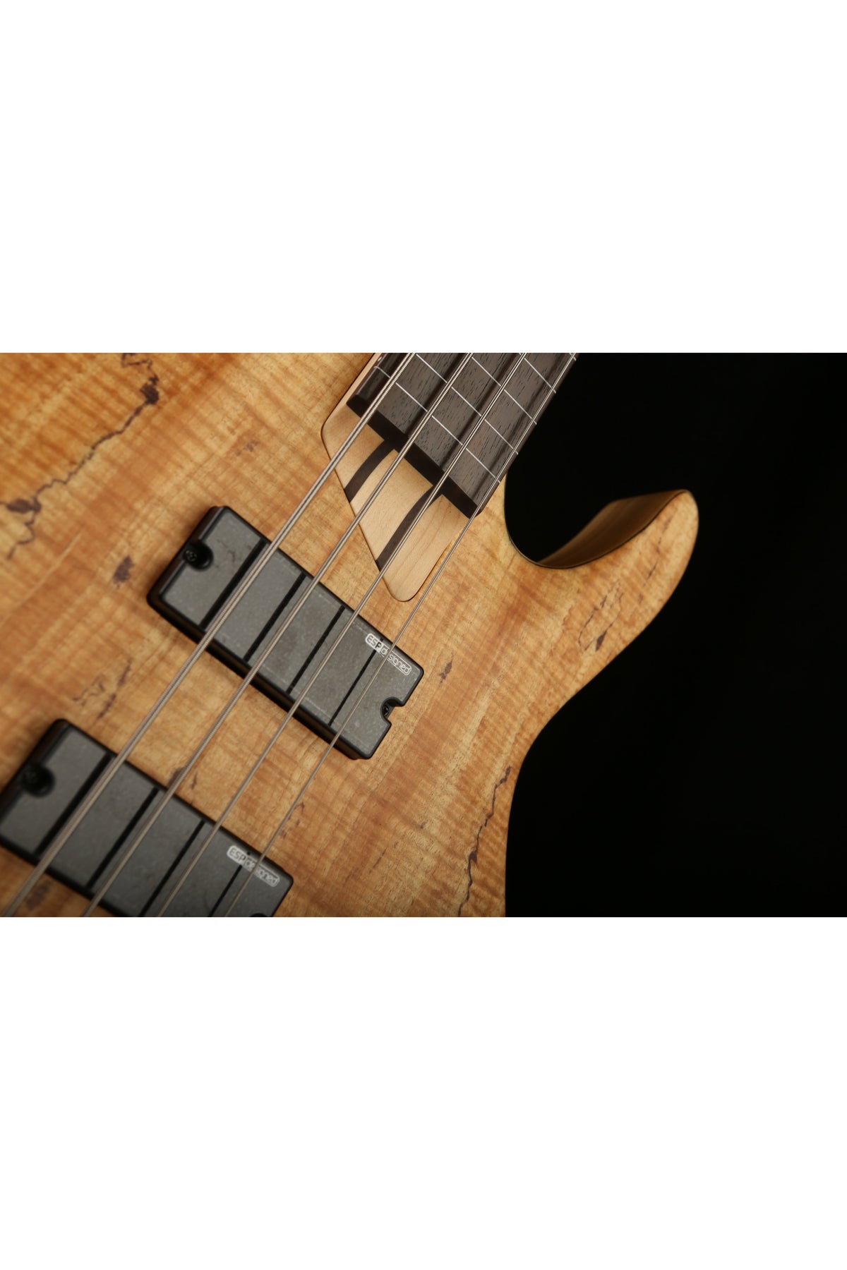 LTD B-204SM Fretless - Bass Centre Music Store Melbourne