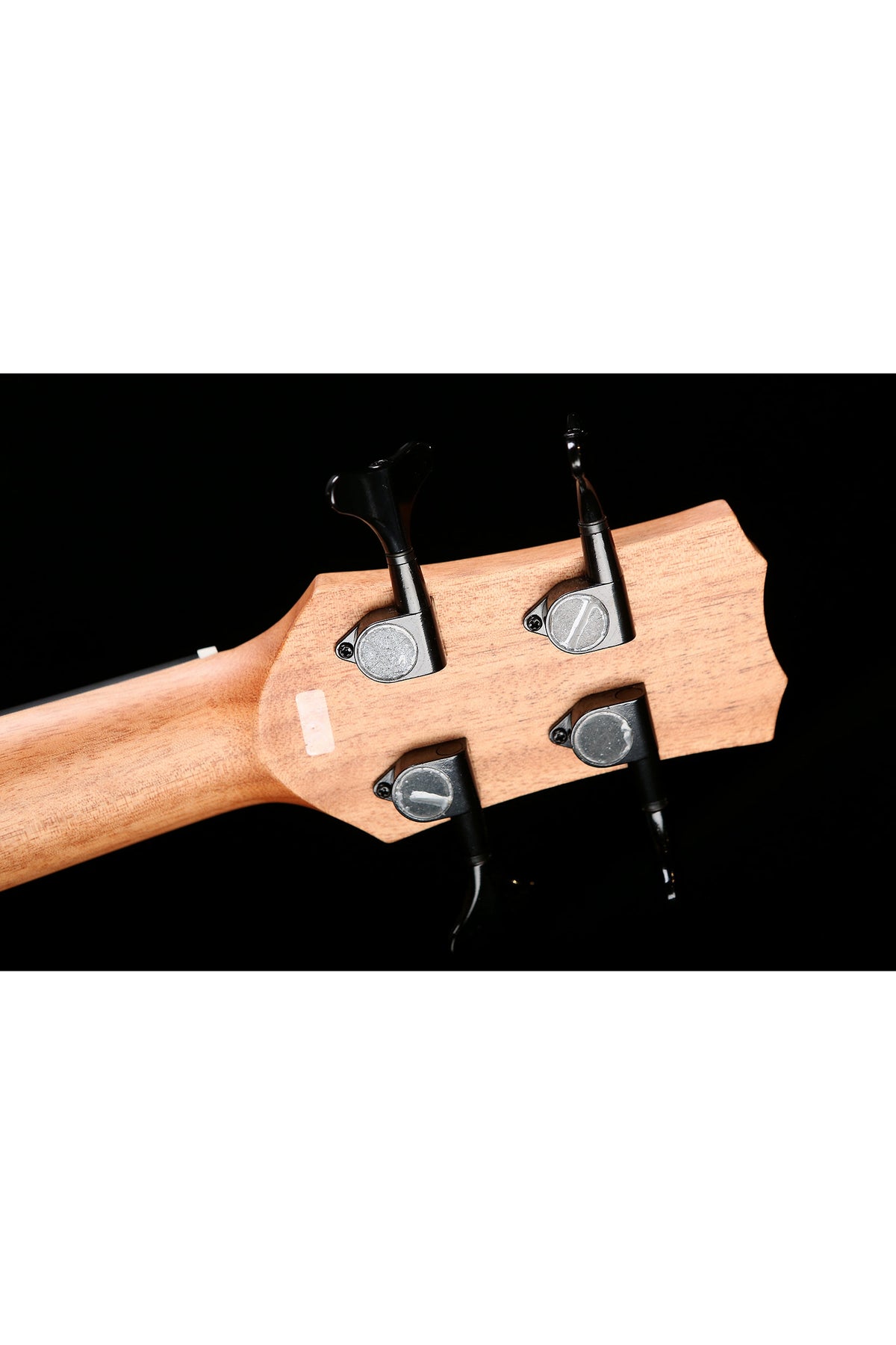 Cordoba Mini II Bass Spruce Top - Bass Centre Music Store Melbourne