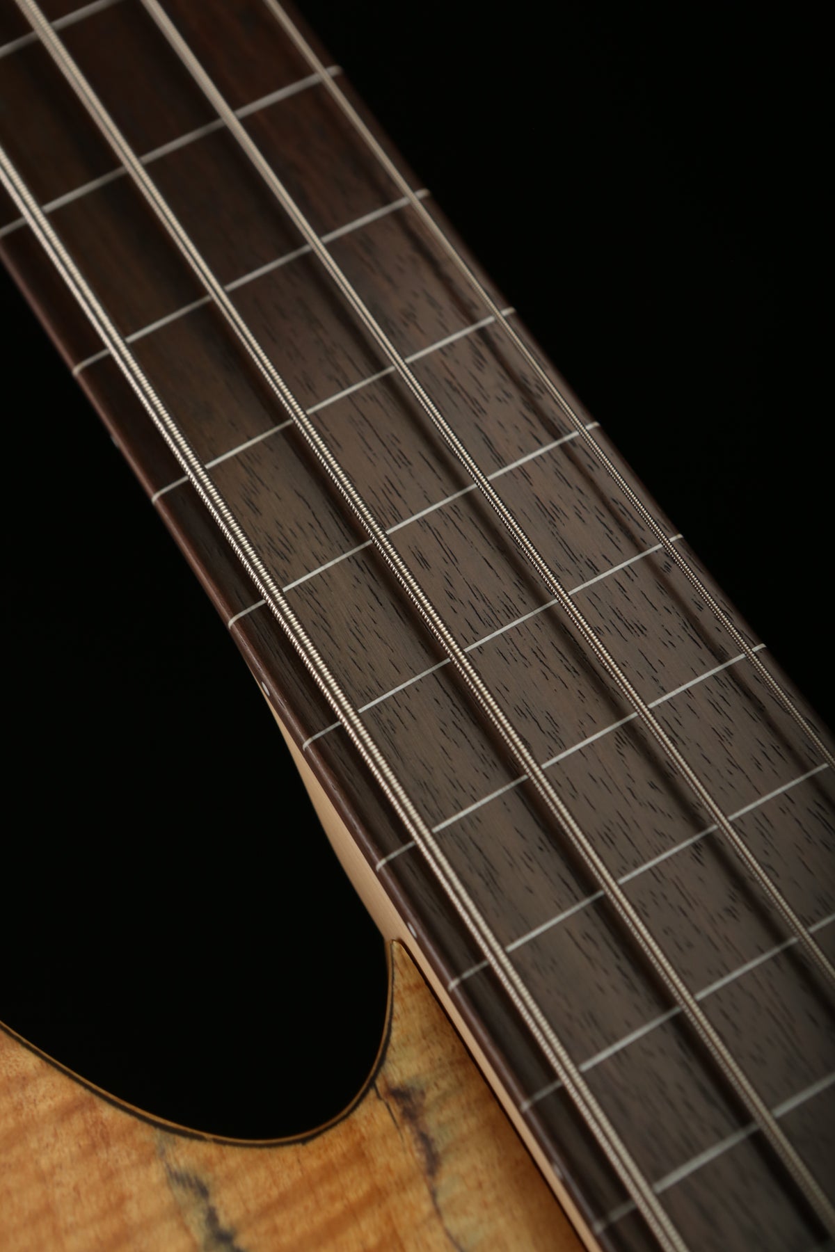 LTD B-204SM Fretless - Bass Centre Music Store Melbourne