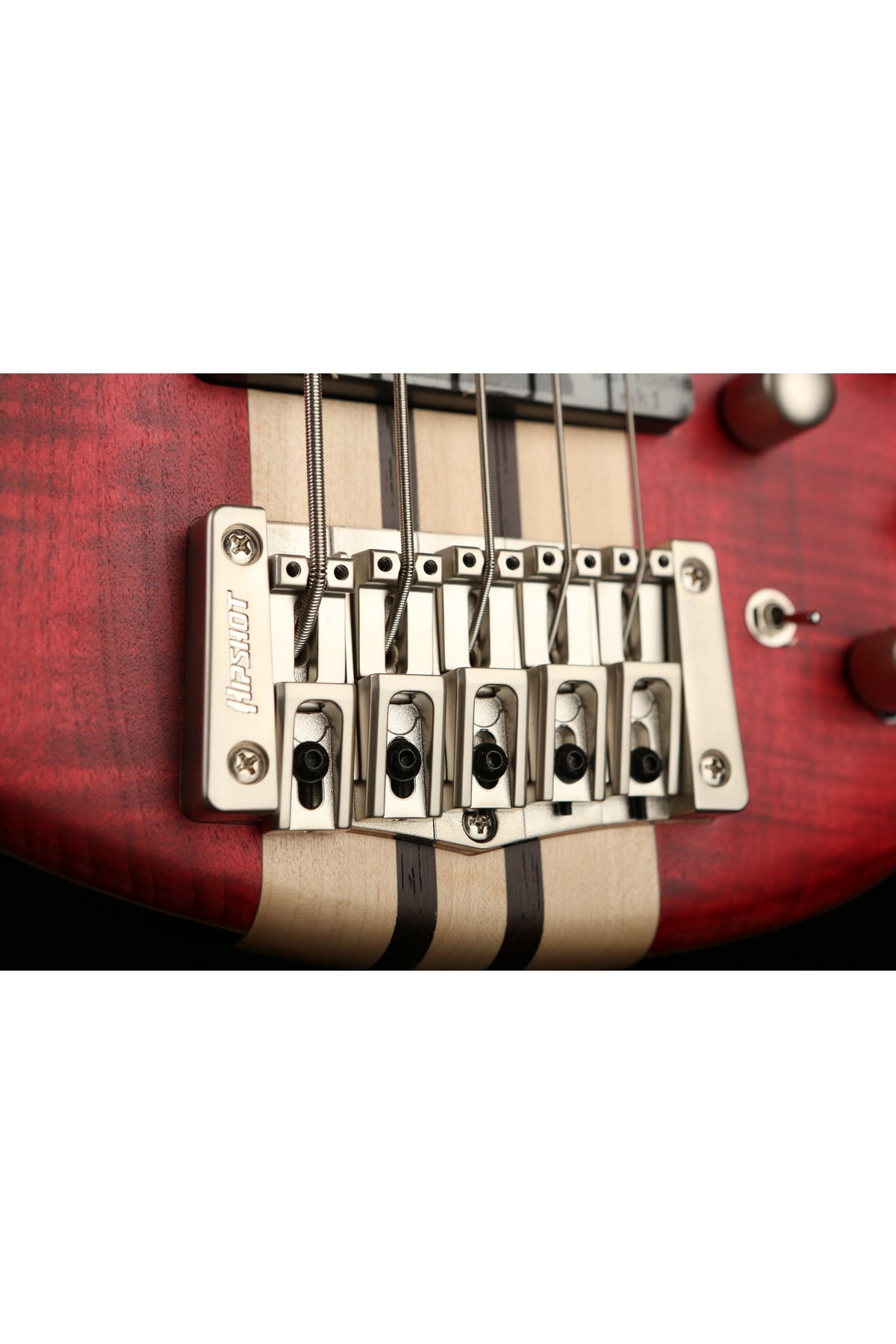 Cort A5 Plus 5 string - Bass Centre Music Store Melbourne