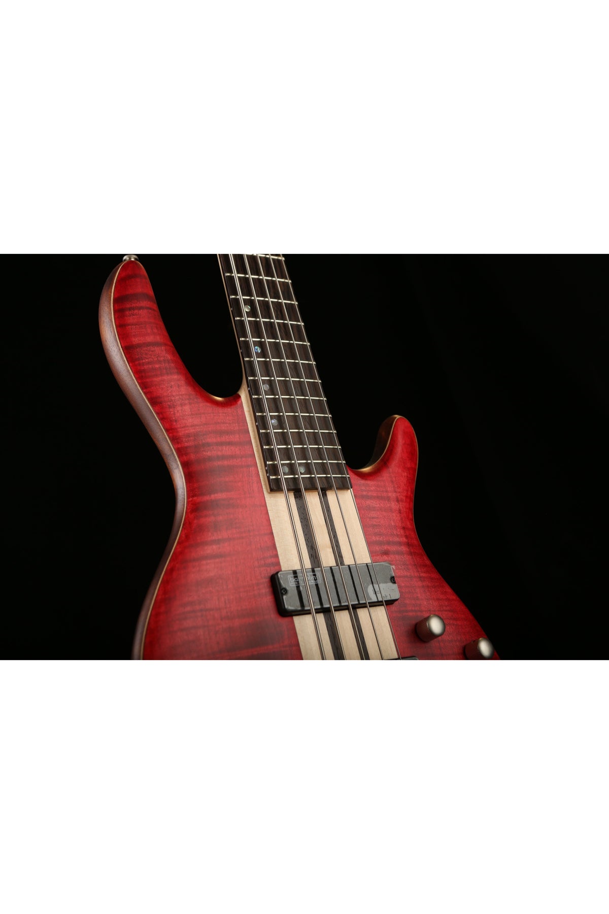 Cort A5 Plus 5 string - Bass Centre Music Store Melbourne