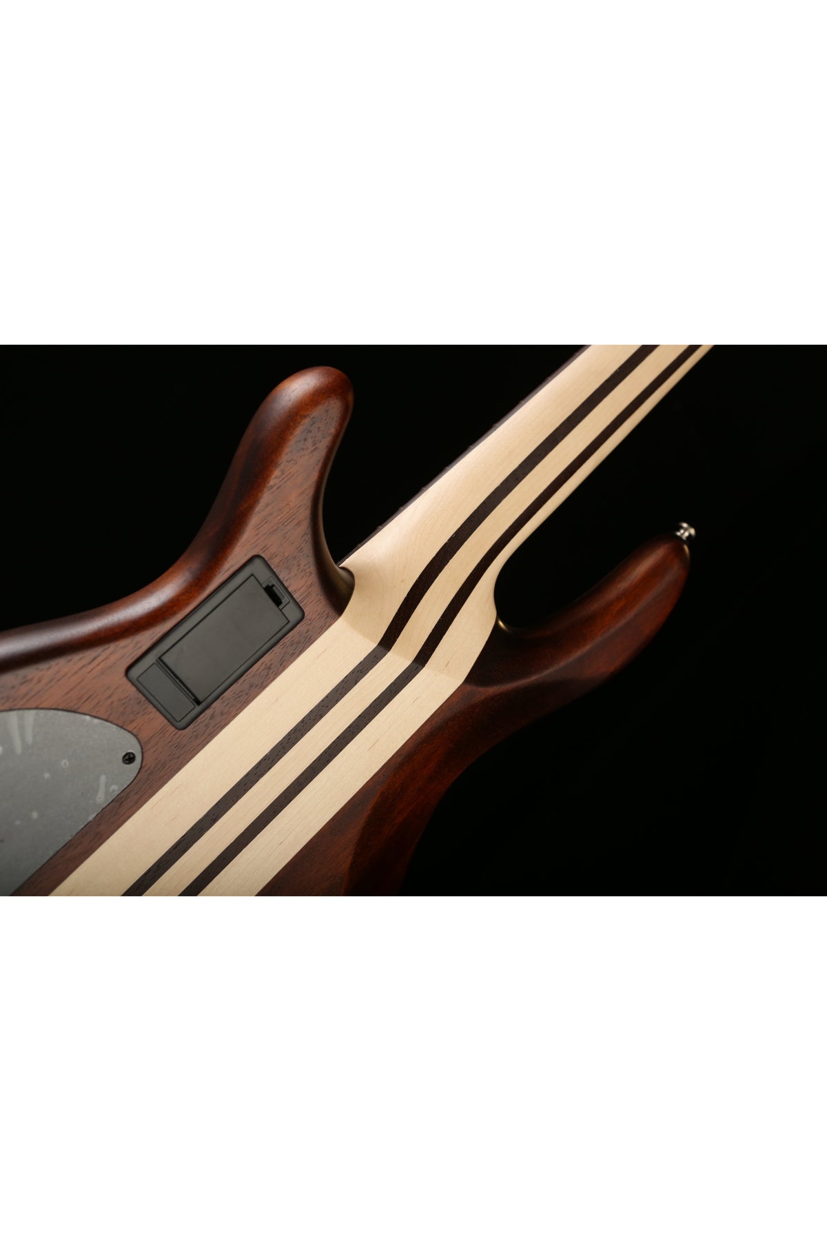 Cort A5 Plus 5 string - Bass Centre Music Store Melbourne