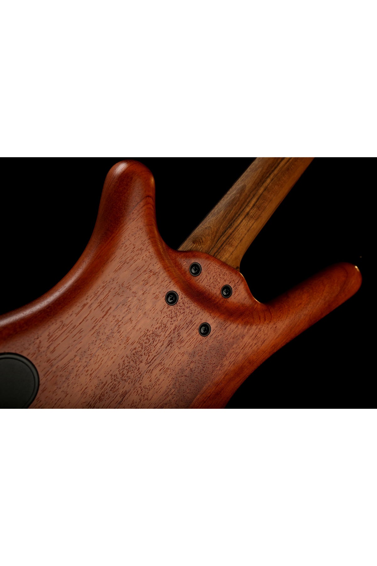 Warwick German Pro Series Teambuilt Corvette 4 Active - Bass Centre Music Store Melbourne