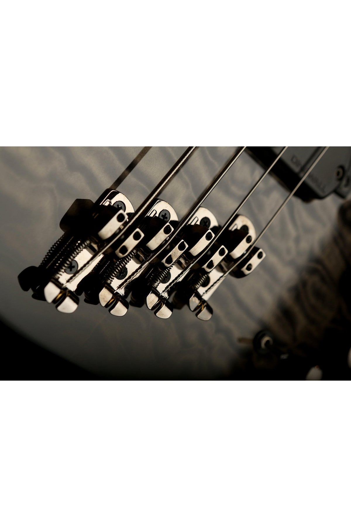 Dingwall Combustion 4 Quilt Top 3X Trans Black - Bass Centre Music Store Melbourne