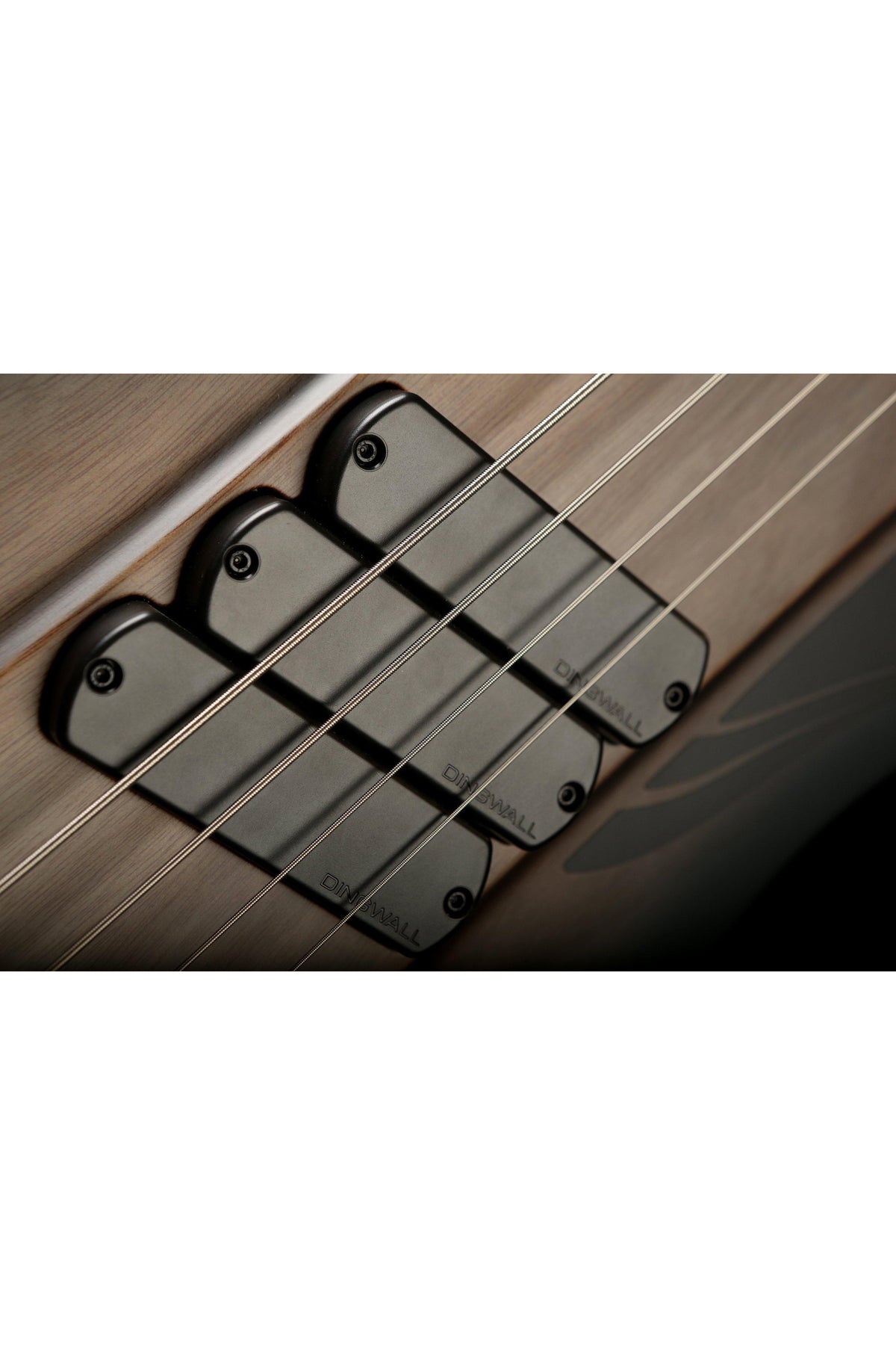 Dingwall D-Bird Standard 4 Blackburst - Bass Centre Music Store Melbourne