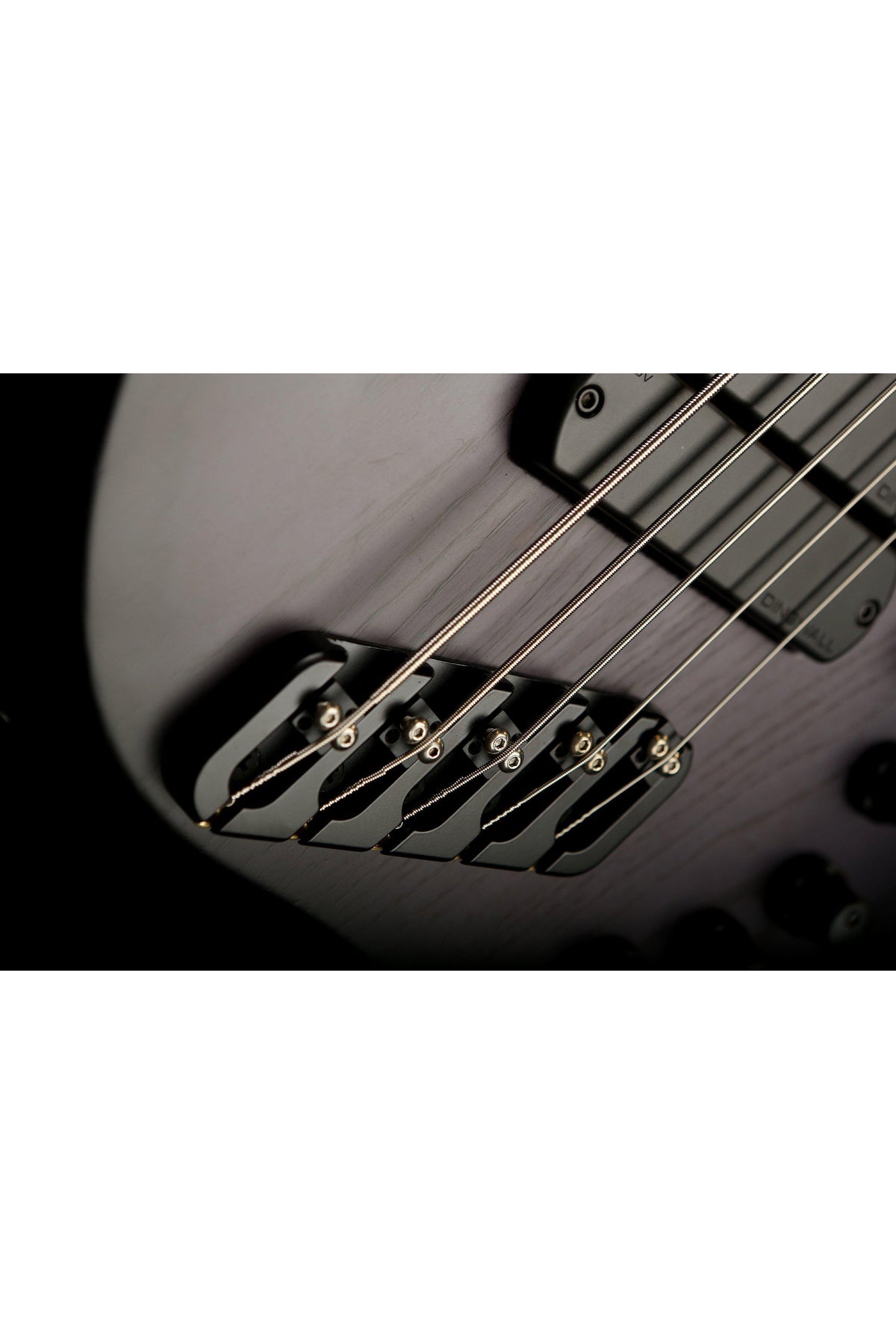 Dingwall ABZ 5 3X Wenge Trans Blackburst - Bass Centre Music Store Melbourne