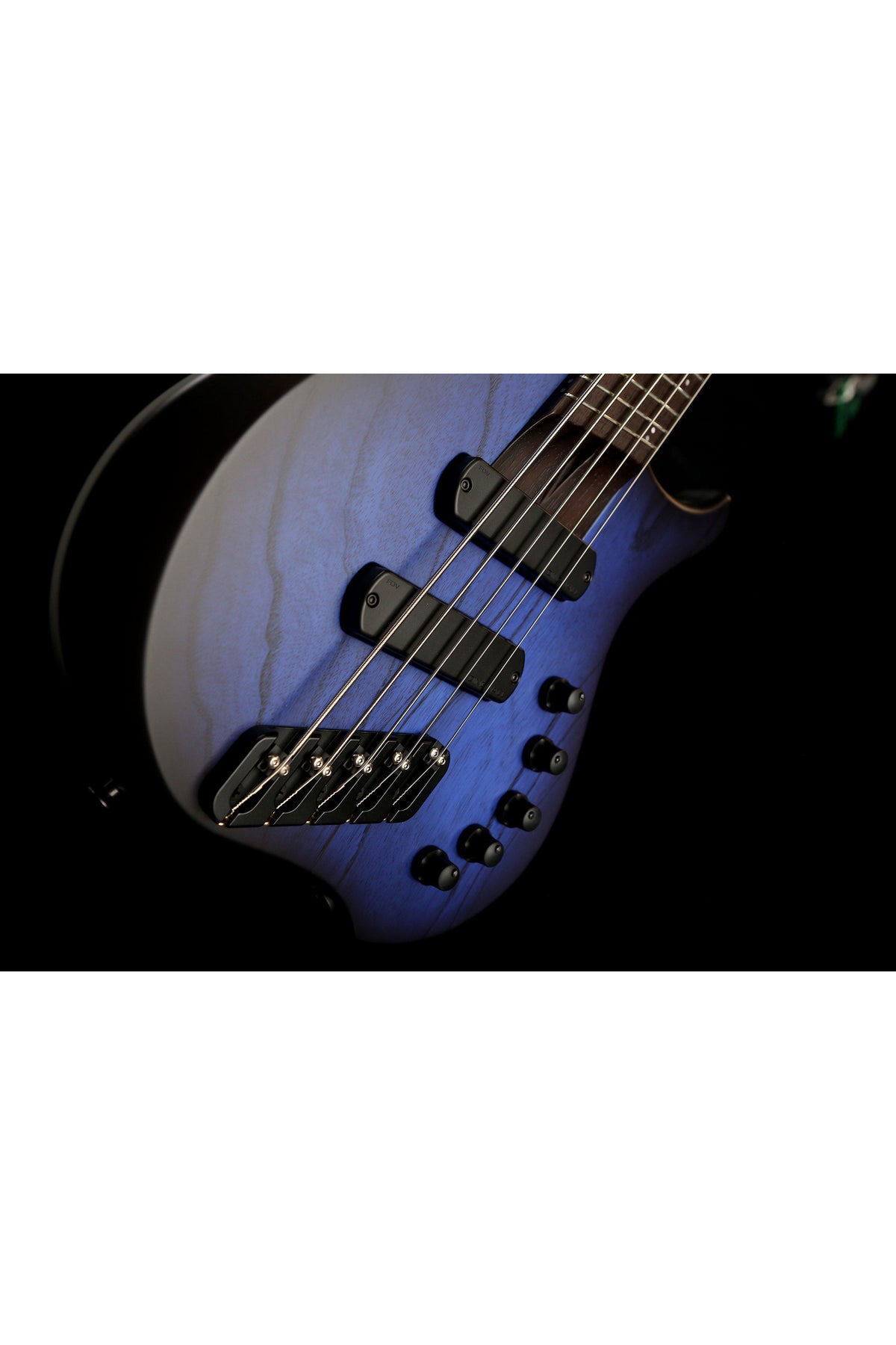 Dingwall ABZ5 Wenge Midnight Burst - Bass Centre Music Store Melbourne