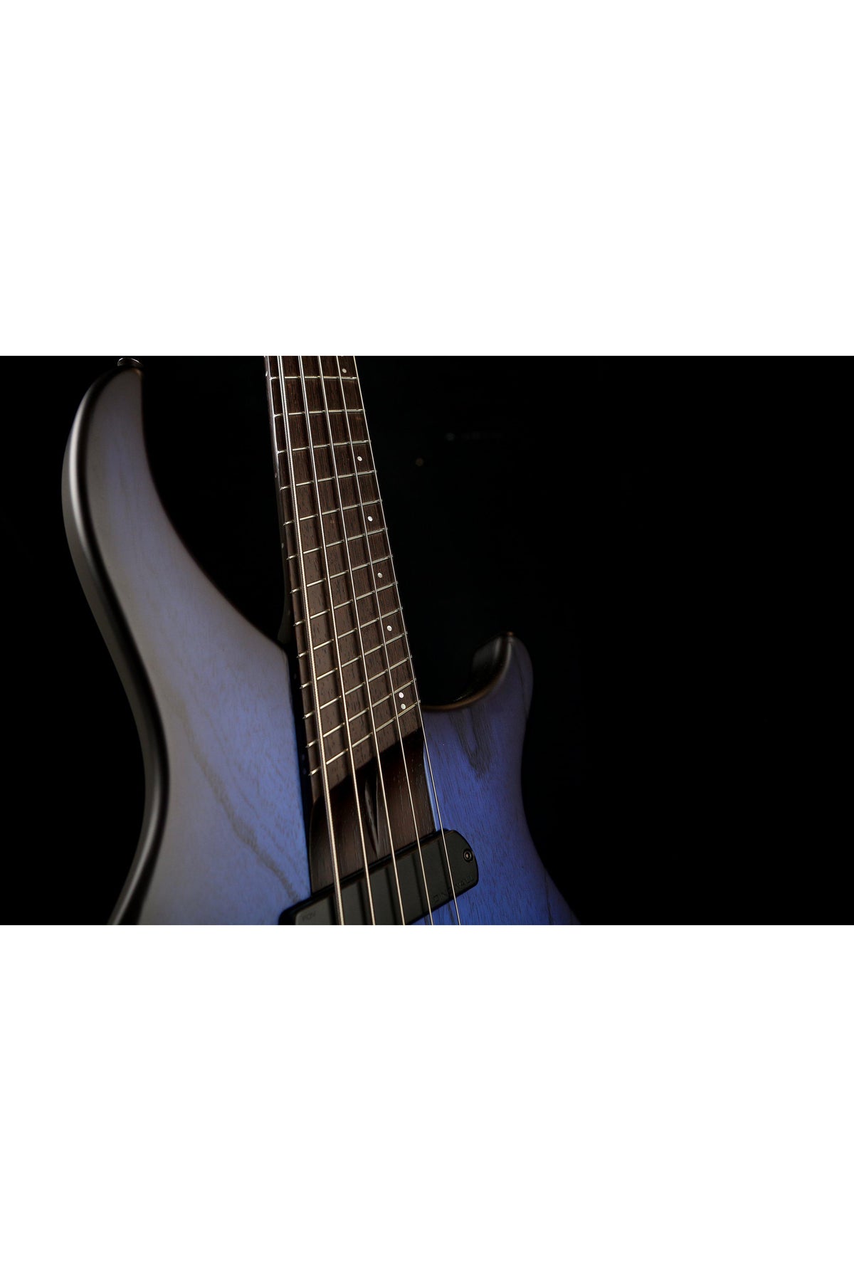 Dingwall ABZ5 Wenge Midnight Burst - Bass Centre Music Store Melbourne