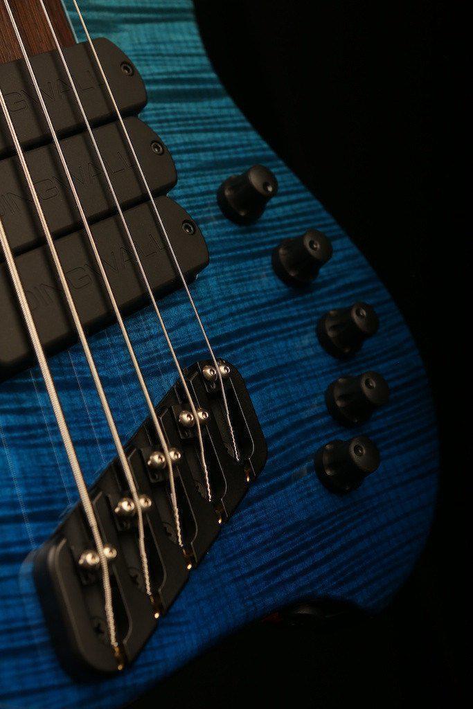 Dingwall Afterburner AB1 5 Whalepool Fade - Bass Centre Music Store Melbourne