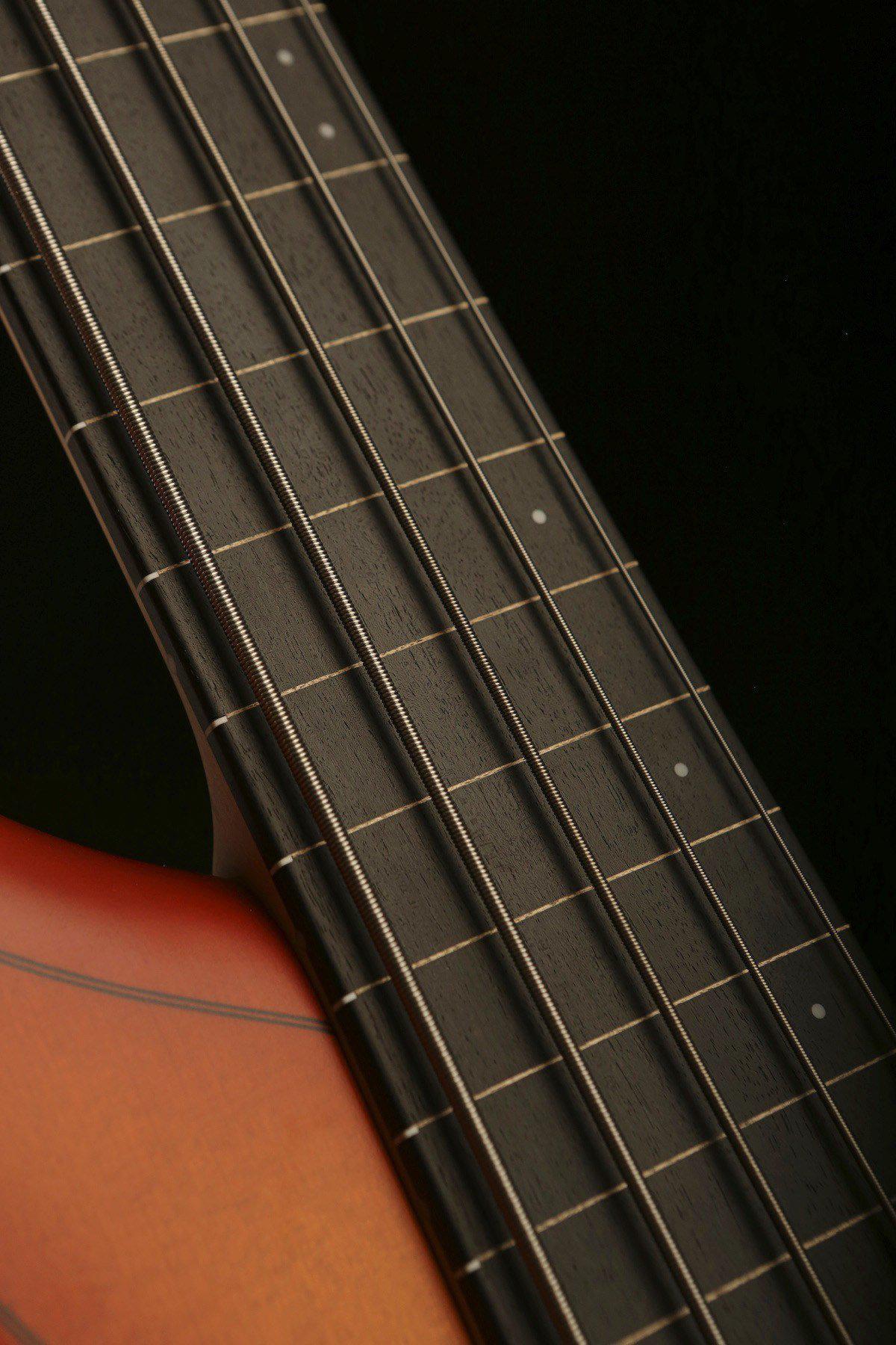 F Bass AC5 Fretless - Bass Centre Music Store Melbourne