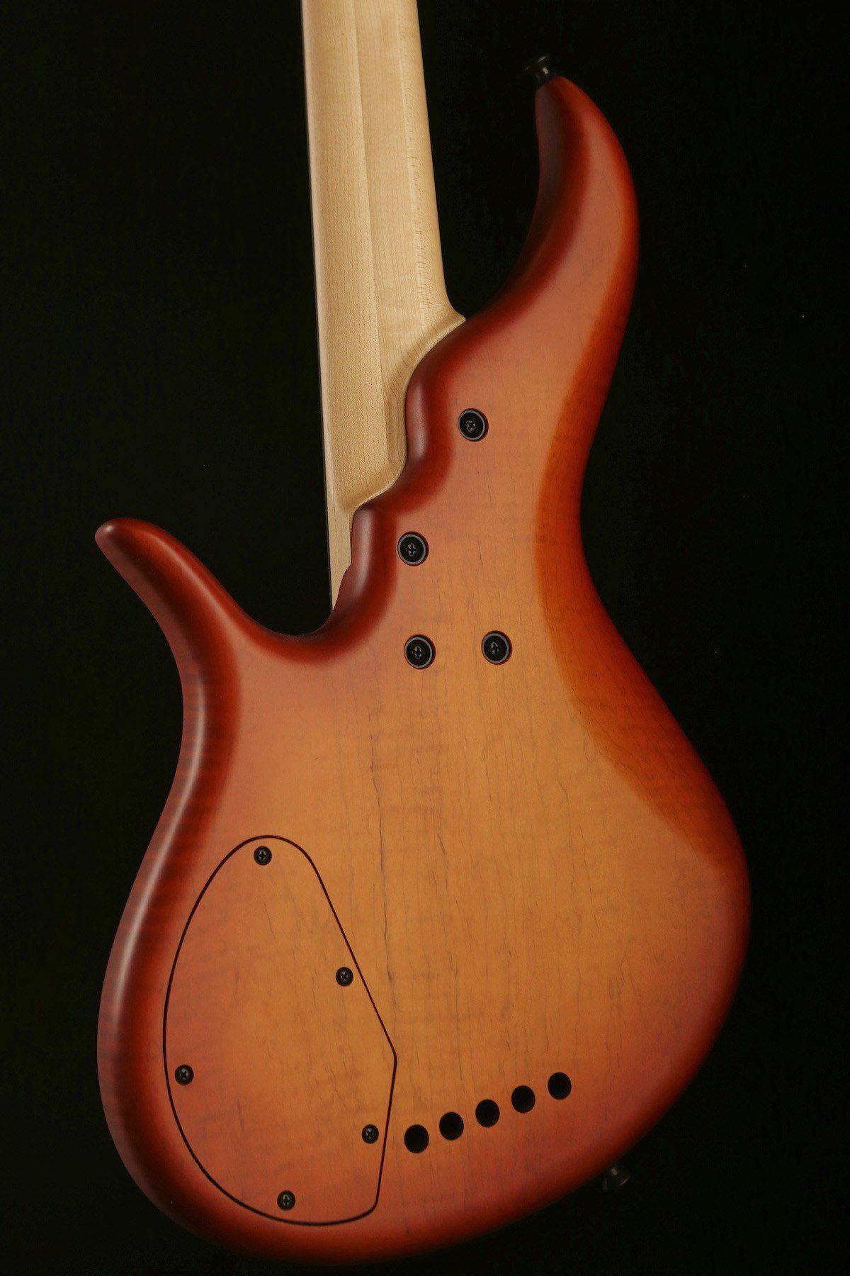 F Bass AC5 Fretless - Bass Centre Music Store Melbourne