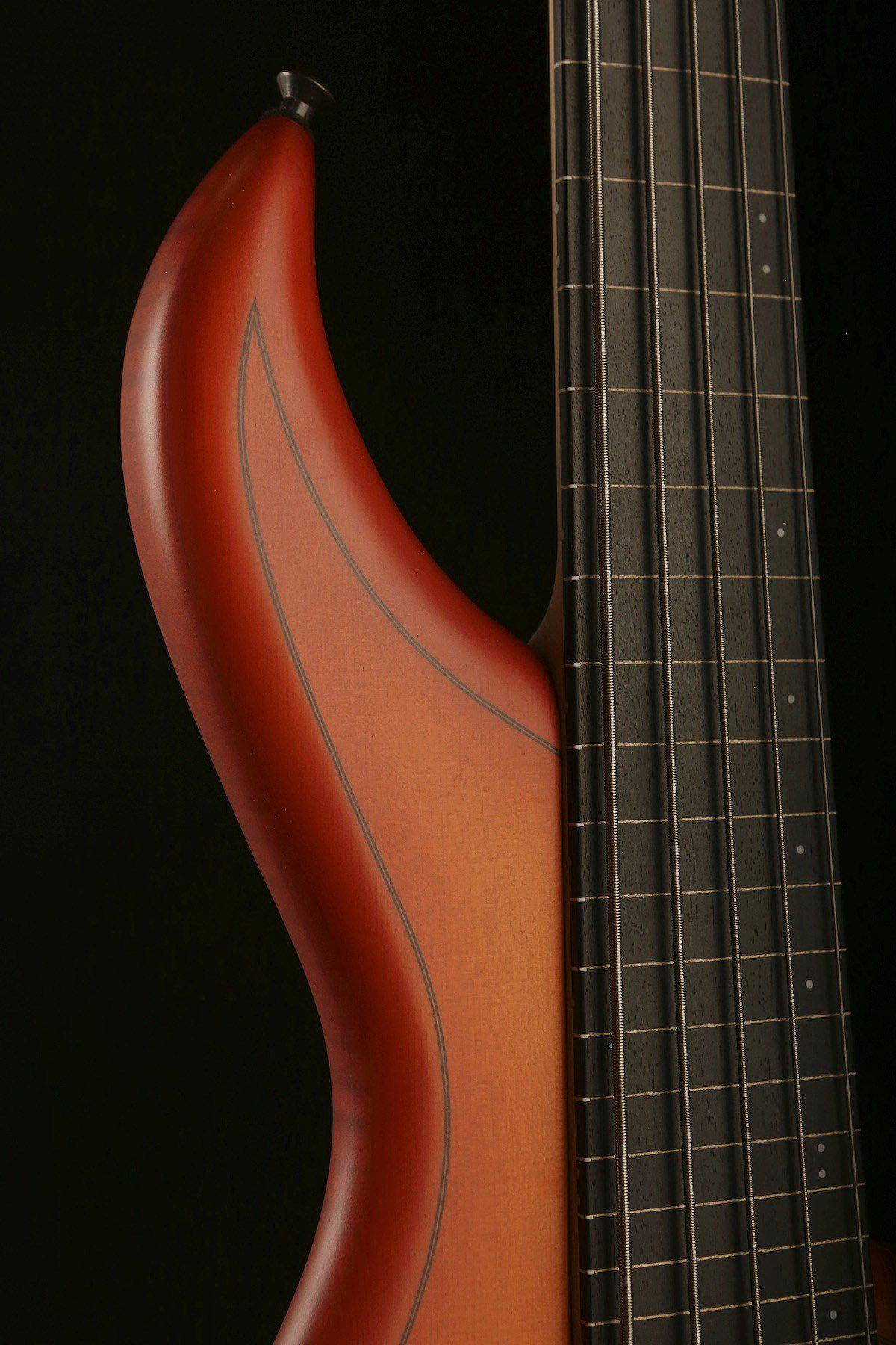 F Bass AC5 Fretless - Bass Centre Music Store Melbourne